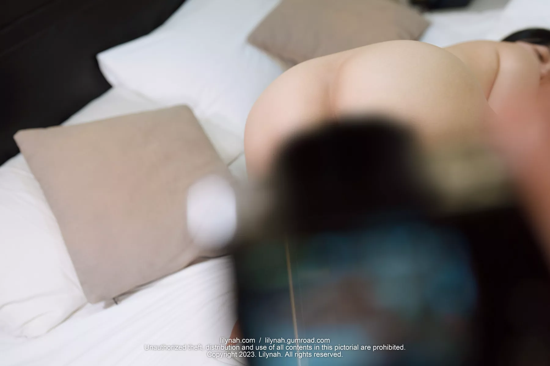 Inah【Lilynah 莉莉娜】 亚洲仙女艺术图 LW076 You in the lens(71P)