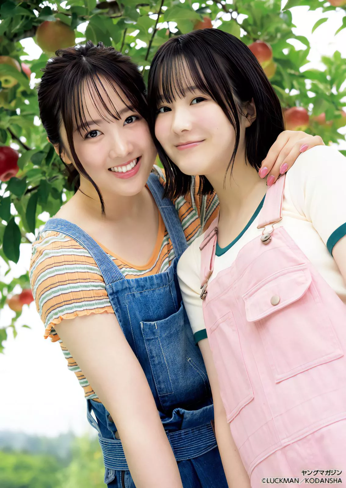 本田望结 本田纱来Young Magazine 2023 Set.47 ( 2023年47号)