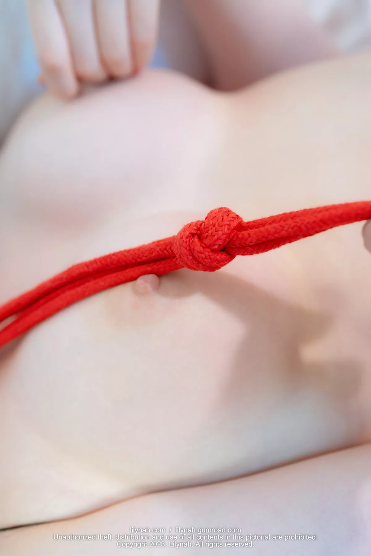 Heejae【Lilynah 莉莉娜】 亚洲女神影像 LW071 Red Rope(71P)