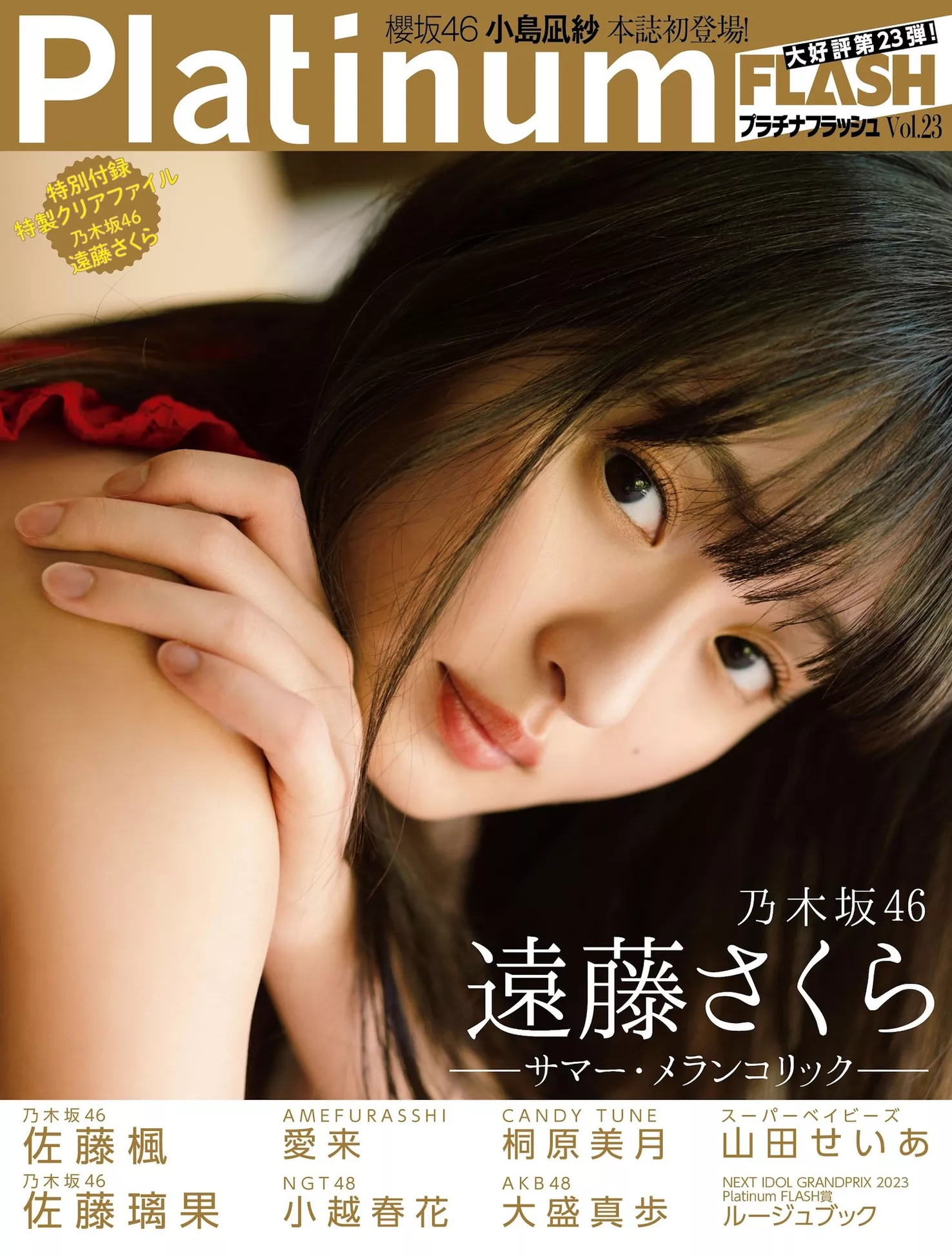 Sakura Endo 远藤さくらPLATINUM FLASH 日本模特高清影像艺术 2023 No.23