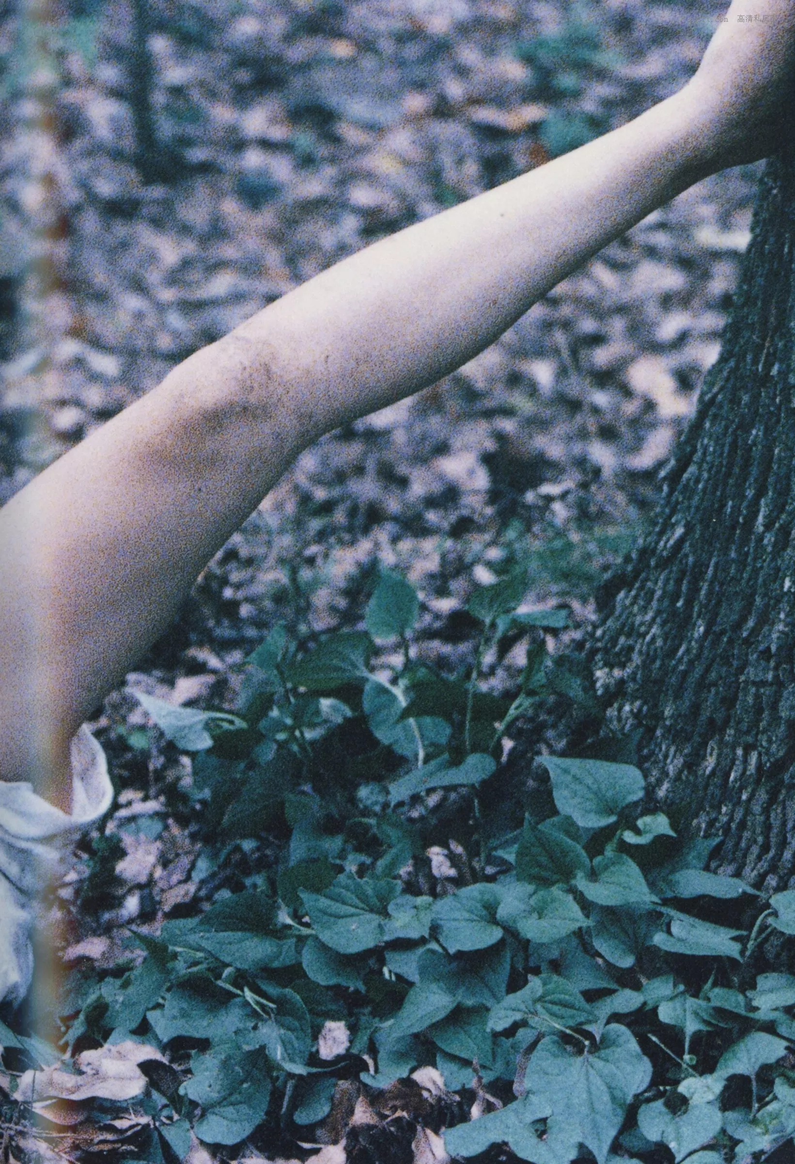 日本 美女 高品质摄影影像 精选 1998.10 永井流奈《Accidents Series 5》