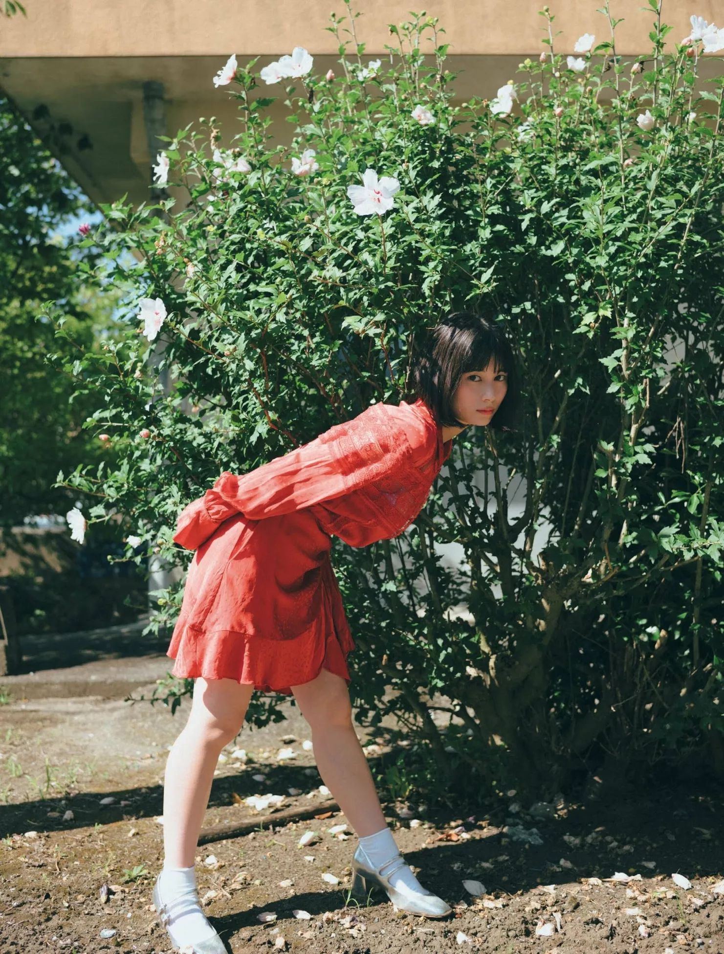 Sakurako Okubo 大久保�@子FLASH 日本模特高品质摄影写真(  会员巨图 )