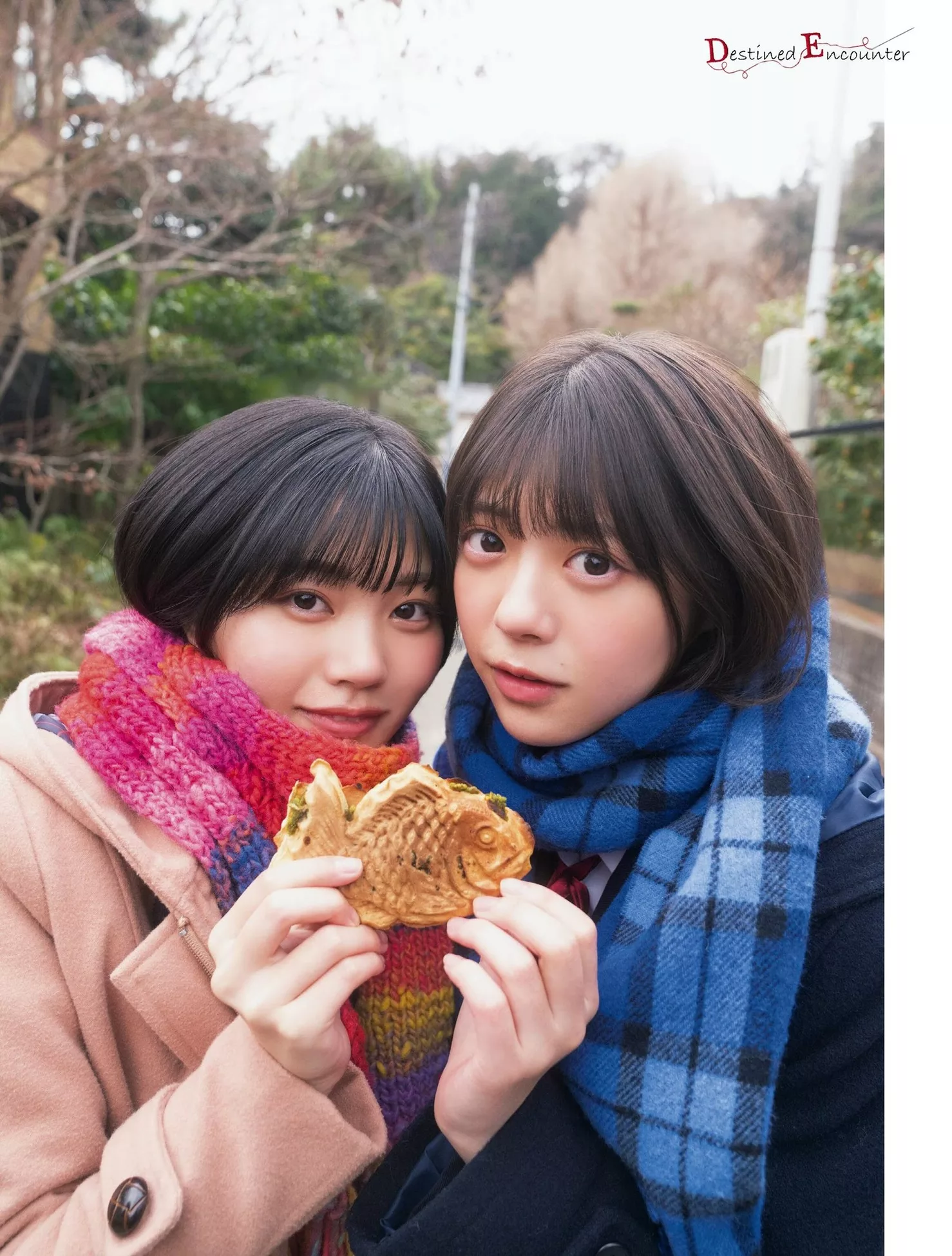 中西 �謇锬窝�PLATINUM FLASH 日本靓模高精细摄影摄影 2023 No.21