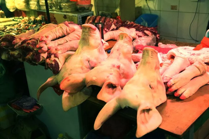 《乌性大片》 作品 写真师 裸模 �⒓涡凑� 人体