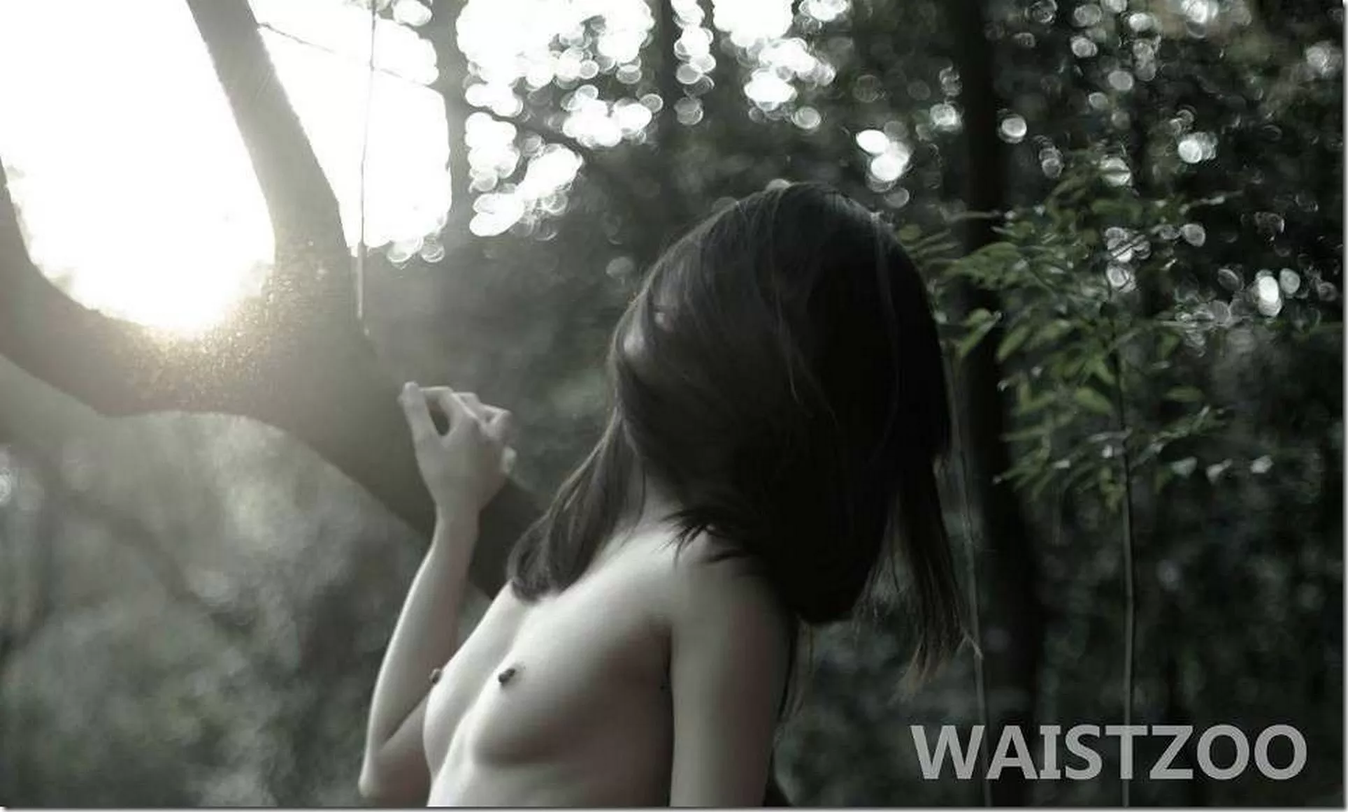 WAITZOO 裸模 人体 照相师 选集 出品 人体 影像 【网络收集】