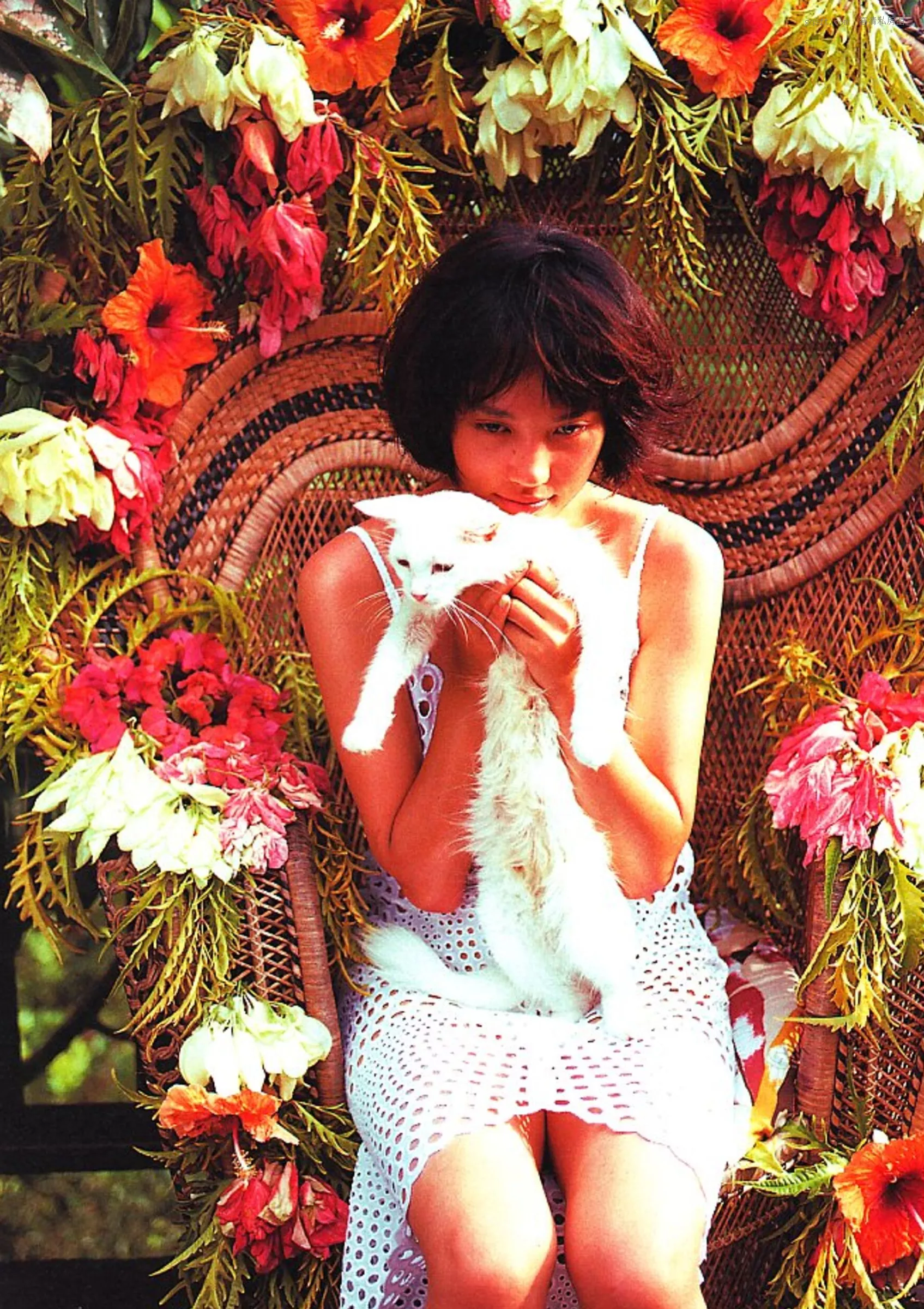 1997.12 精选 原千晶《BORABORA》 日本 尤物 优秀摄影摄影