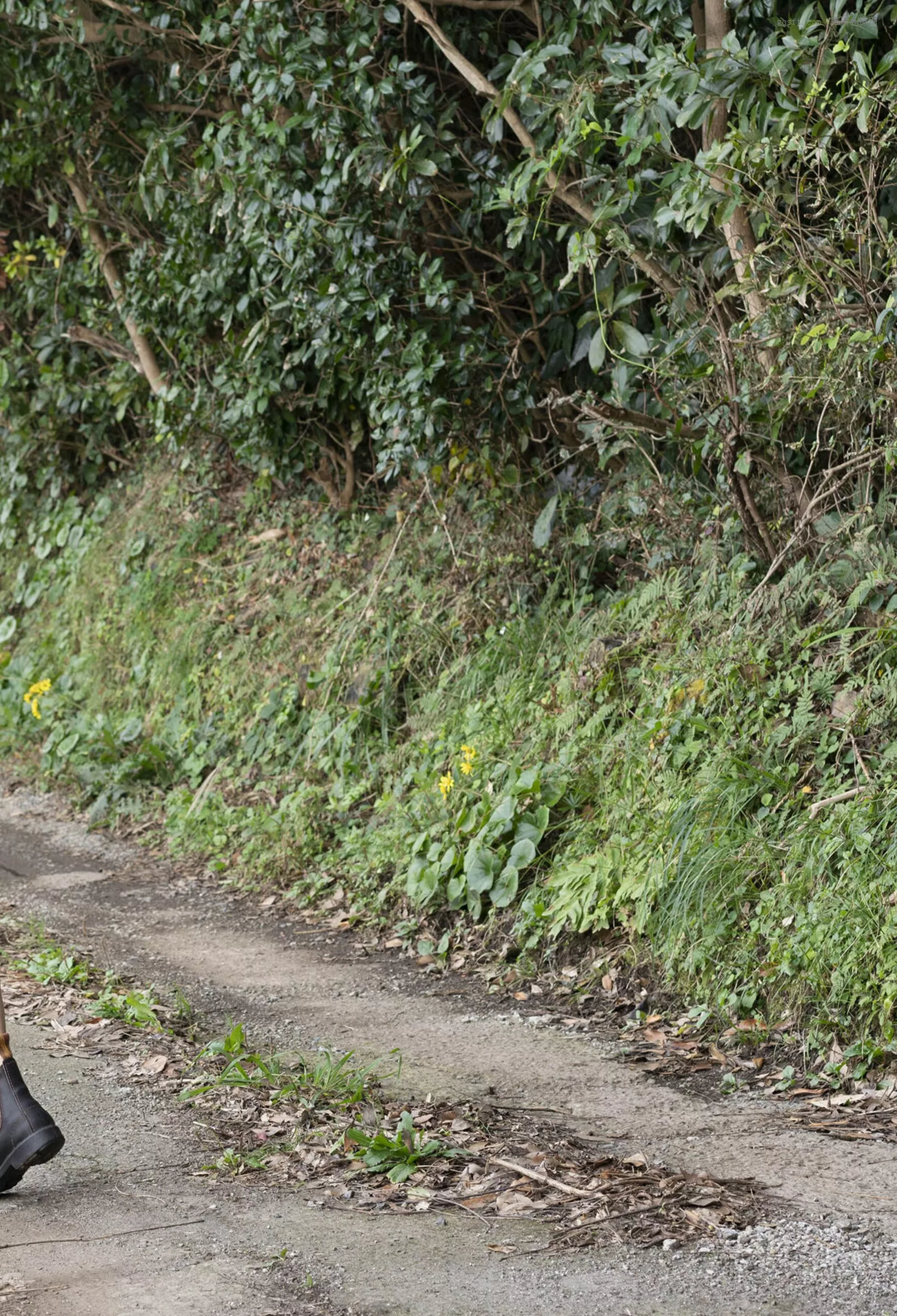 Set.2》 日本 特选未公开集 美人 渡边万美《rabbit 高精细摄影艺术图