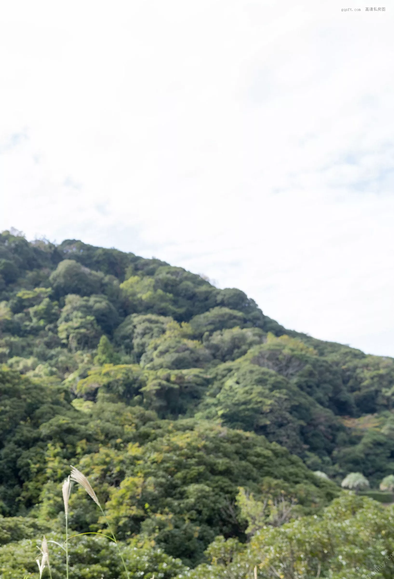 Set.2》 日本 特选未公开集 美人 渡边万美《rabbit 高精细摄影艺术图