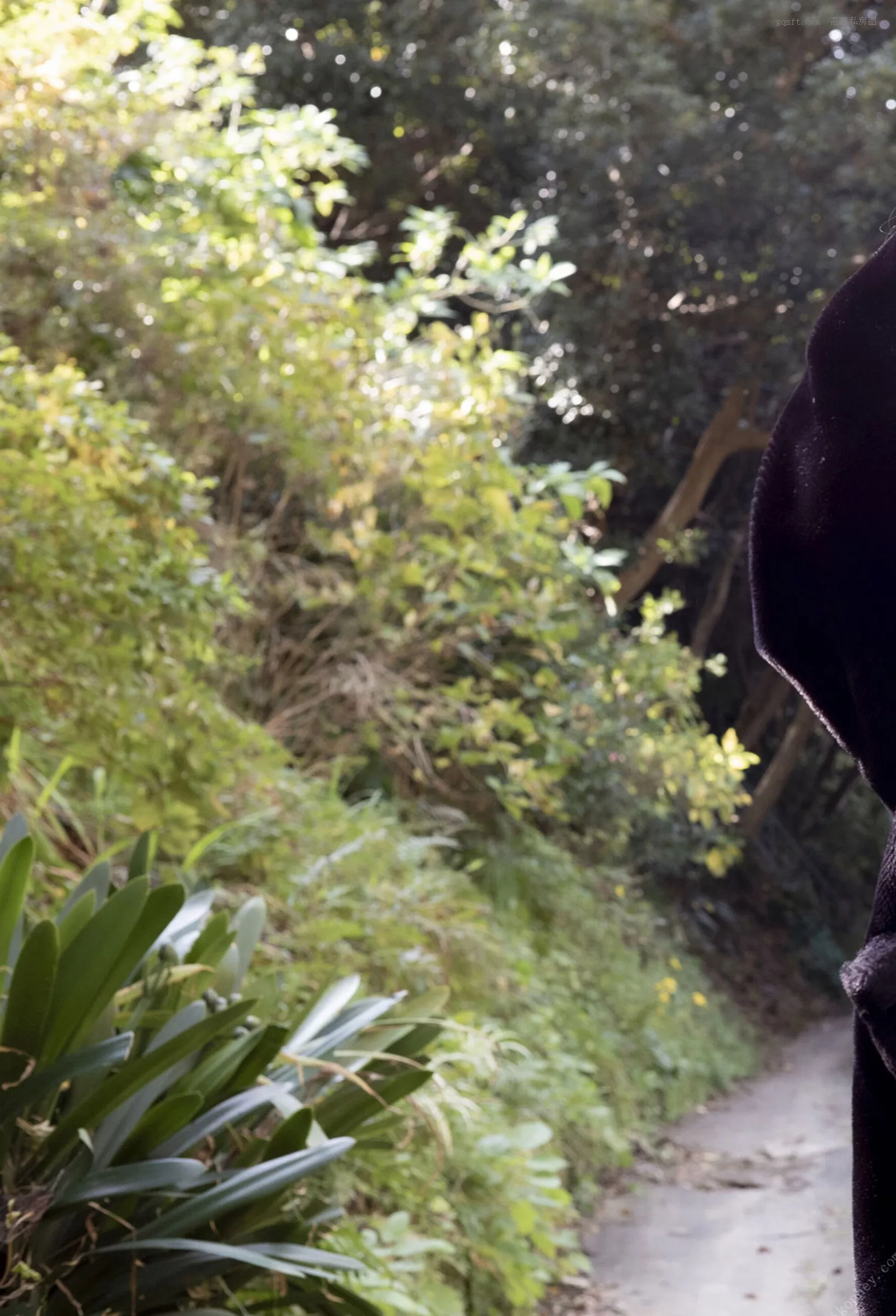 Set.2》 日本 特选未公开集 美人 渡边万美《rabbit 高精细摄影艺术图