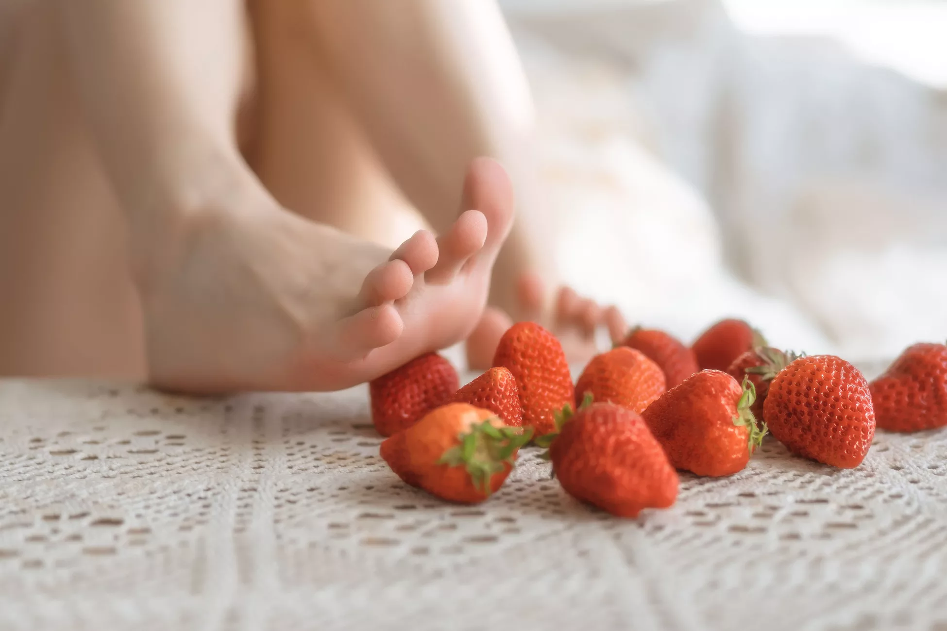 六味帝皇酱 《 优质艺术图图集 LOX洛丽塔》 小艺