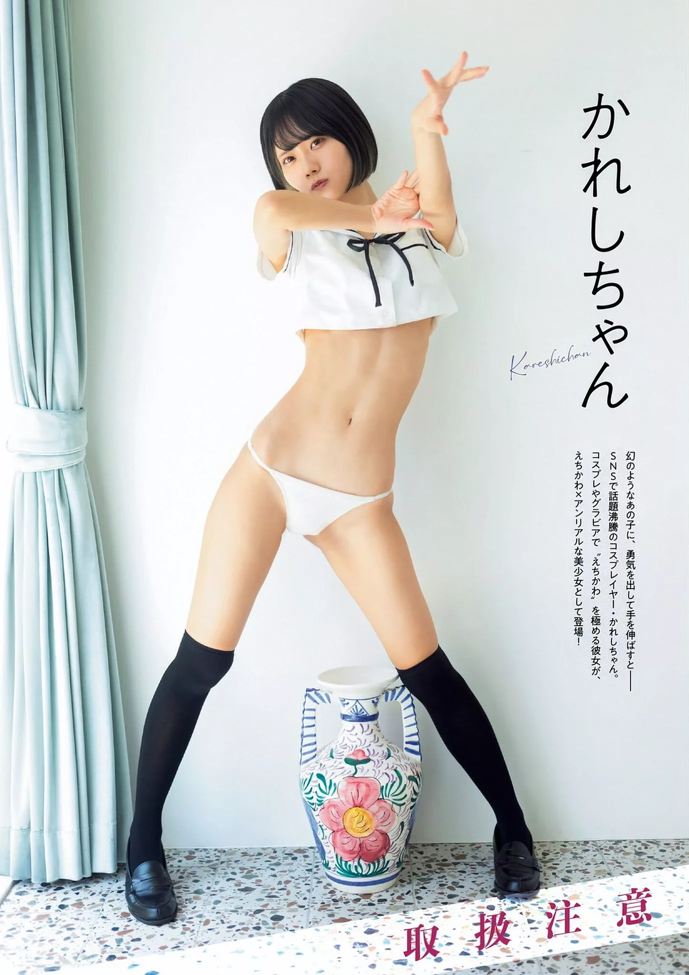 Kareshichan 全集修正  かれしちゃん