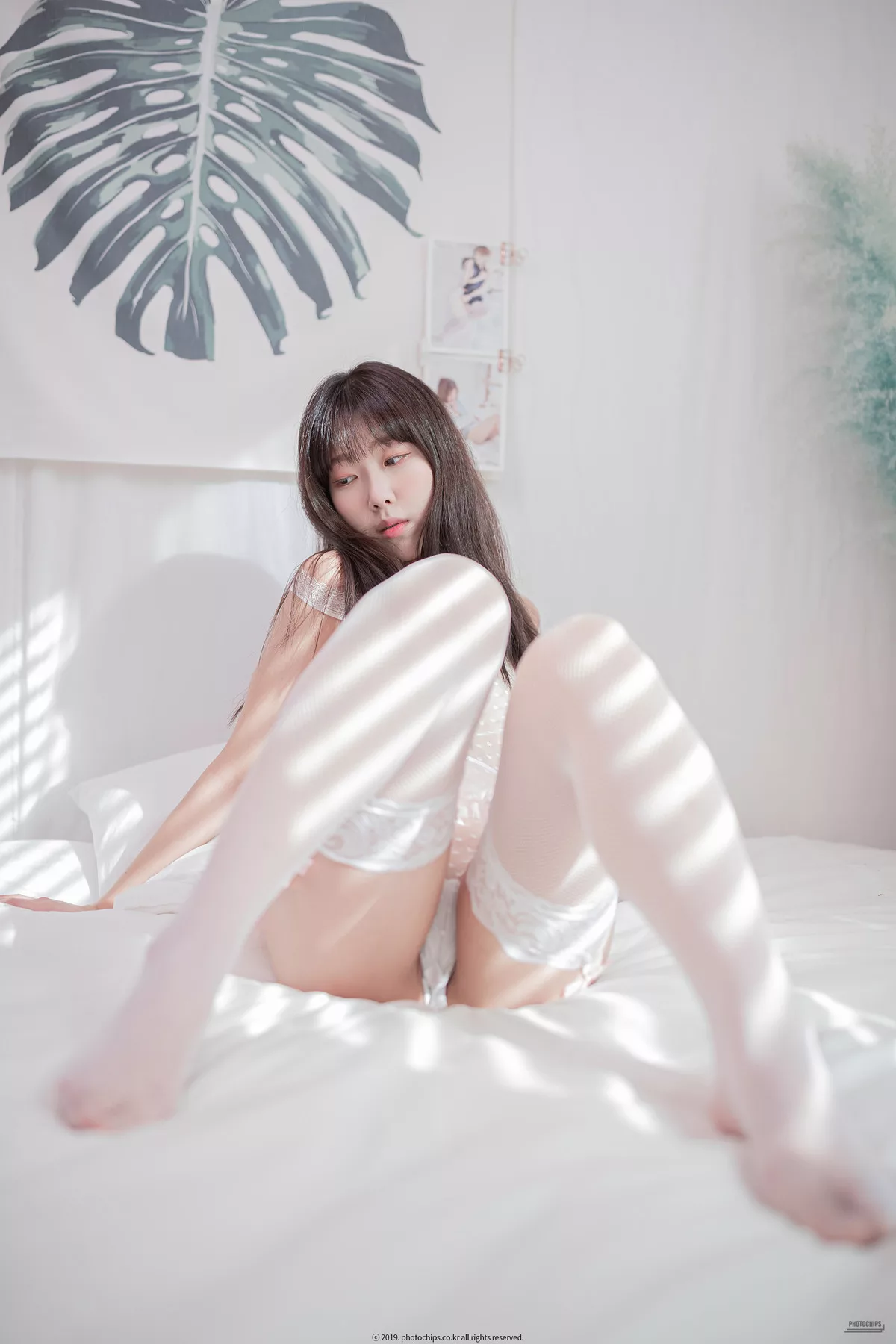纯诱写真】 No.80 高丽仙女写真 全集修正  Shaany【【PhotoChips