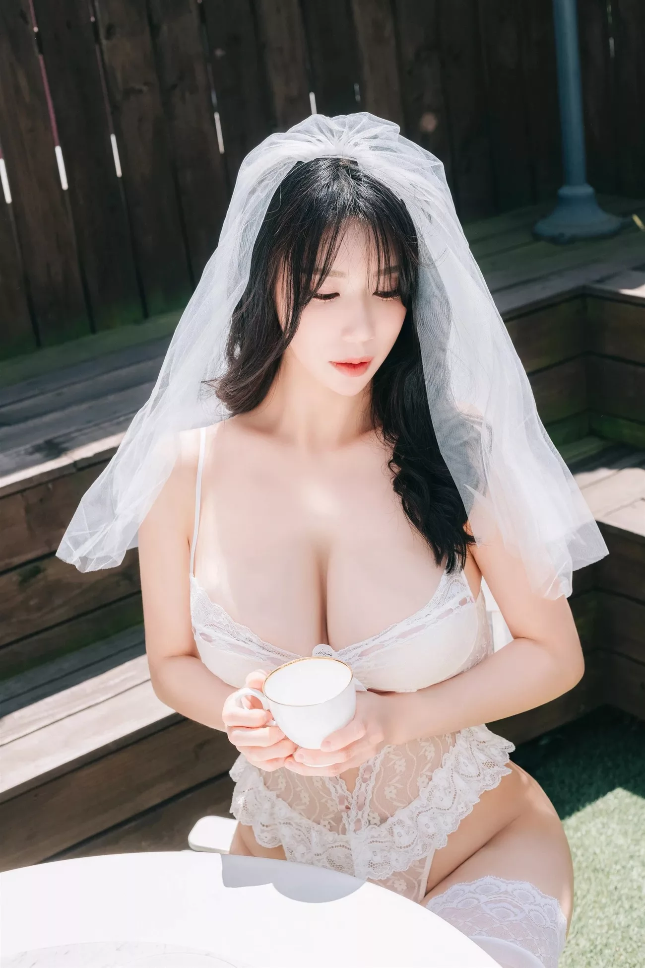 Special Photobook 亚洲辣模艺术图  No.2 全集修正 Sia【高丽Paranhosu丽人艺术图集】