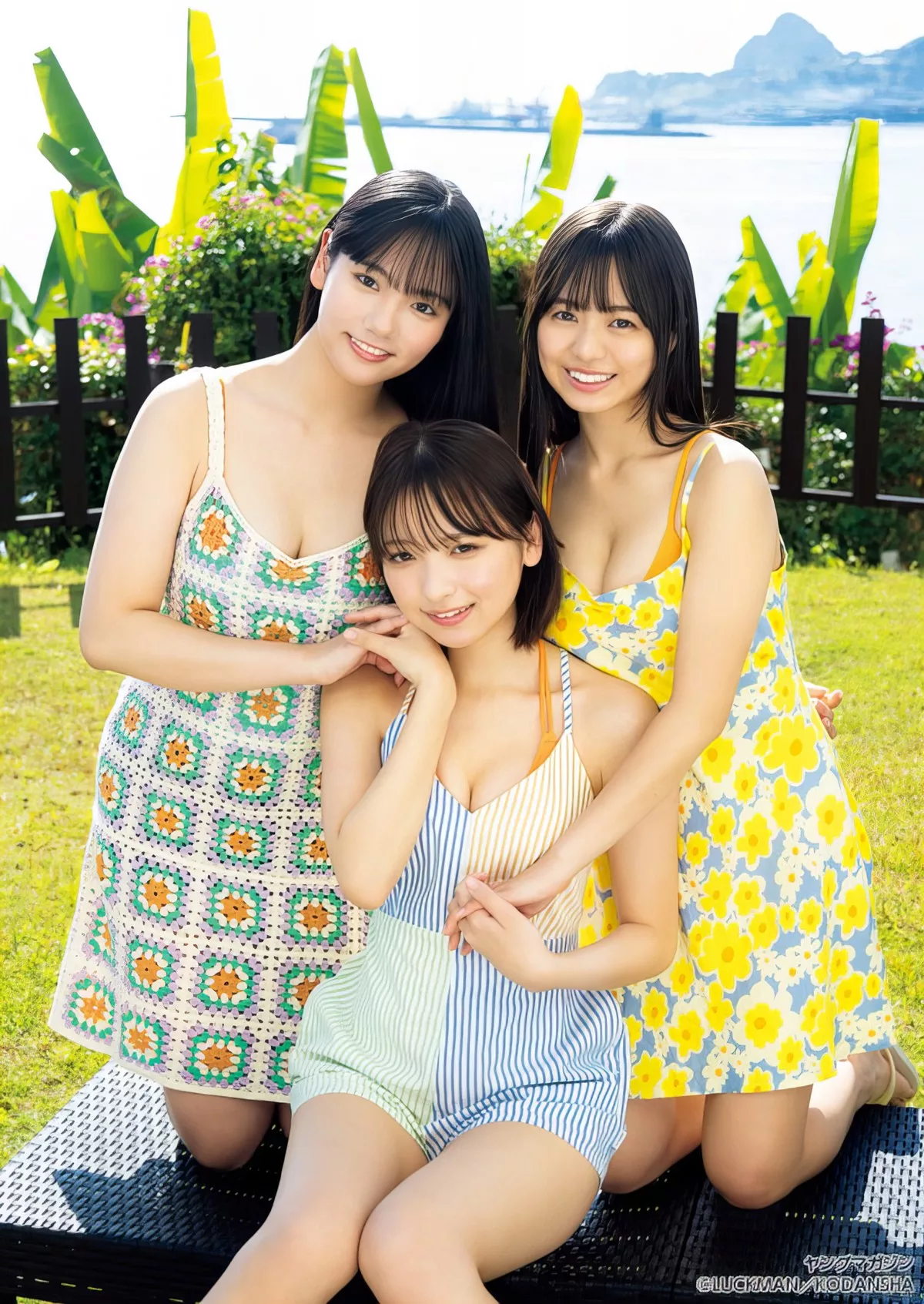 ( �i者特�e�pYoung Set.12 2023 2024年12号) 2024 Magazine
