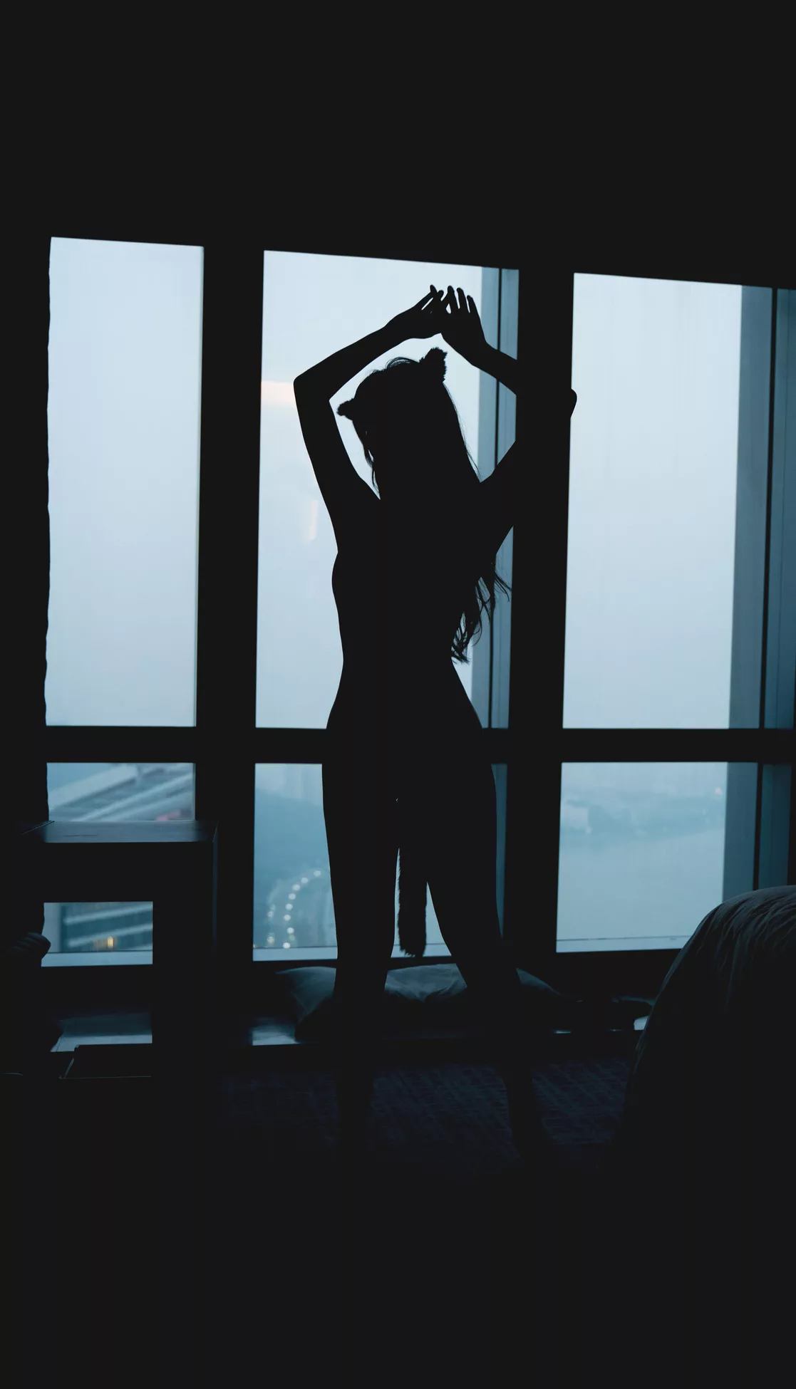 优质摄影图集 就是阿朱啊《猫》