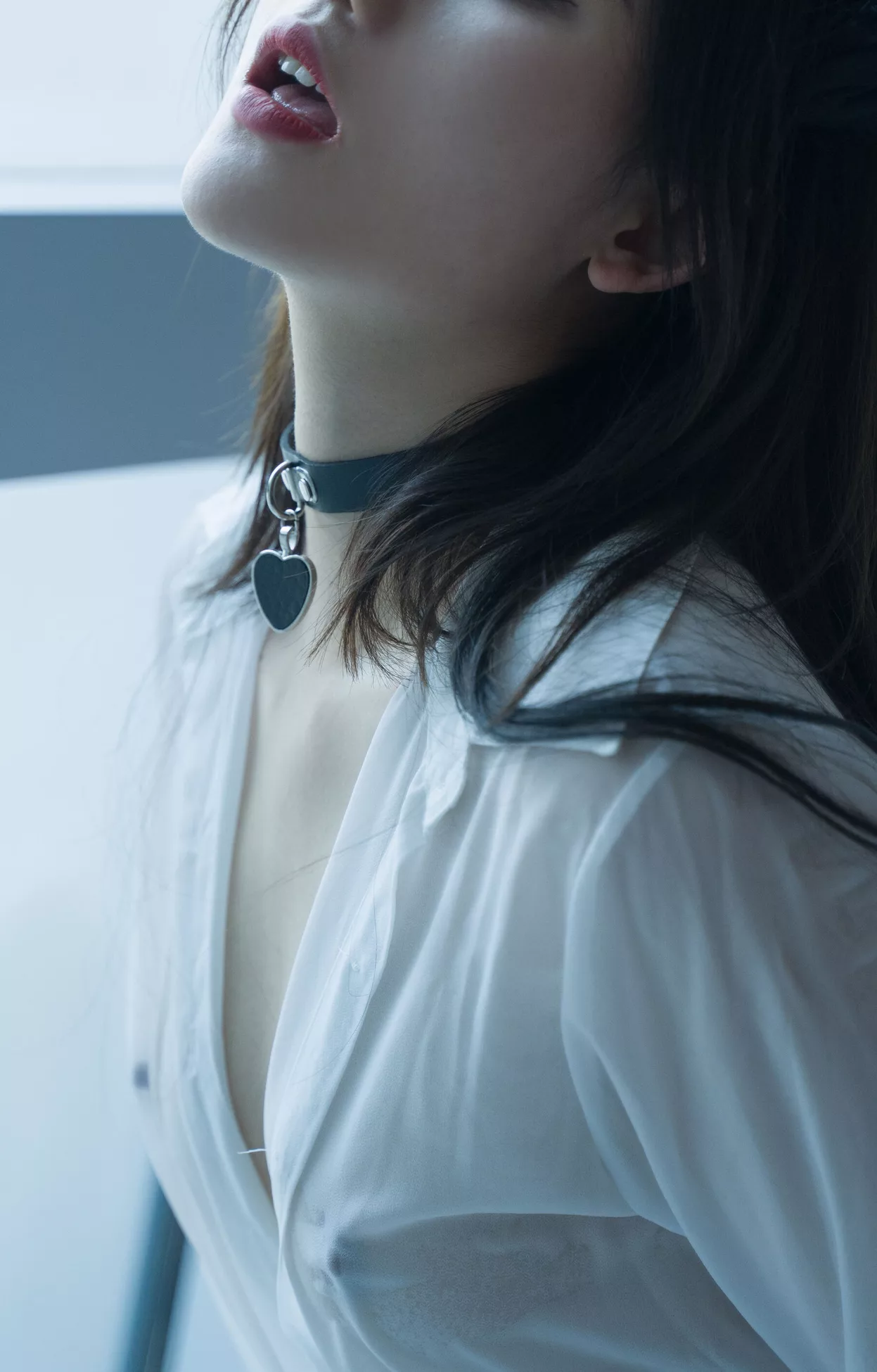 优质摄影图集 就是阿朱啊《猫》