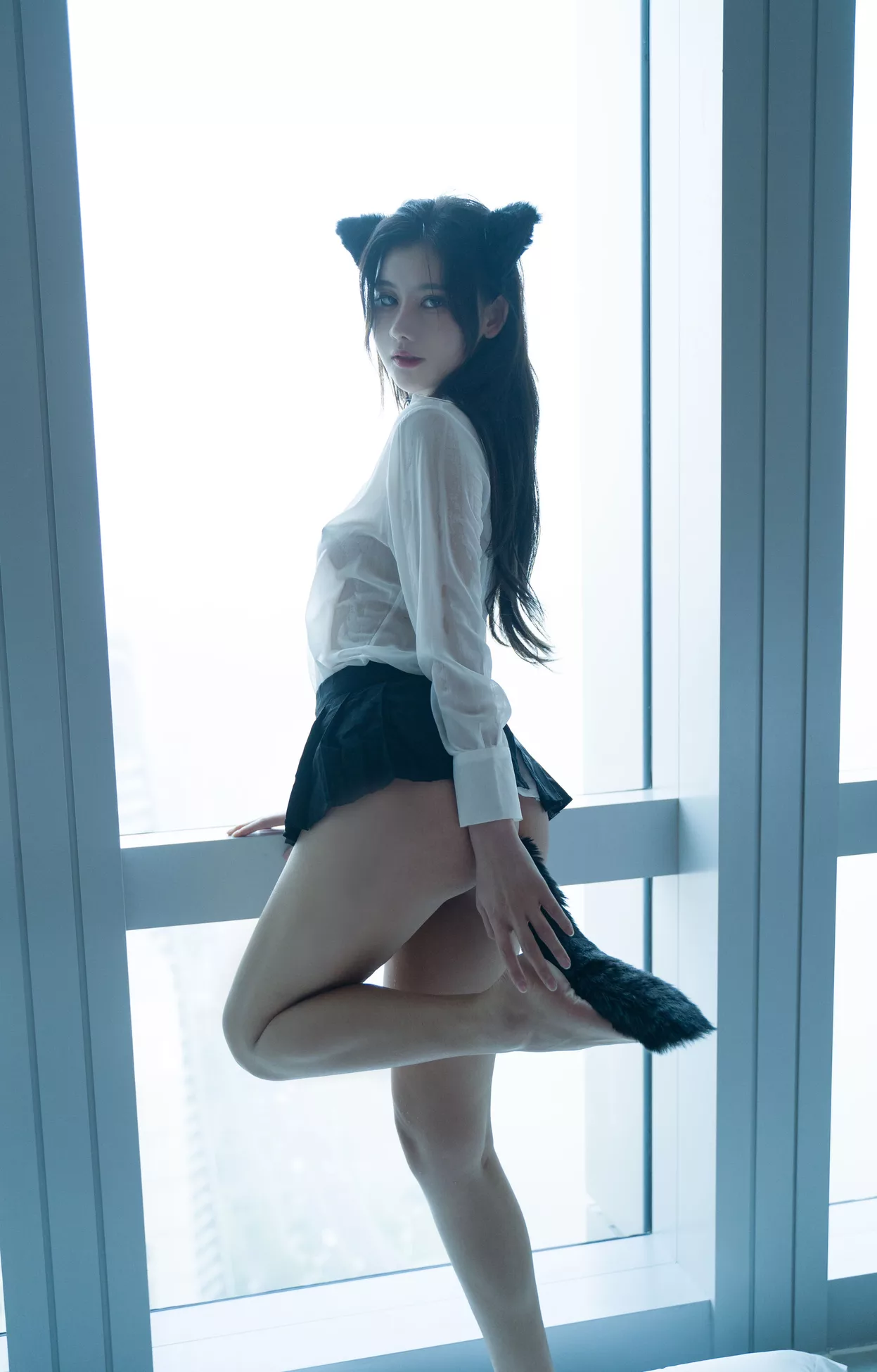 优质摄影图集 就是阿朱啊《猫》