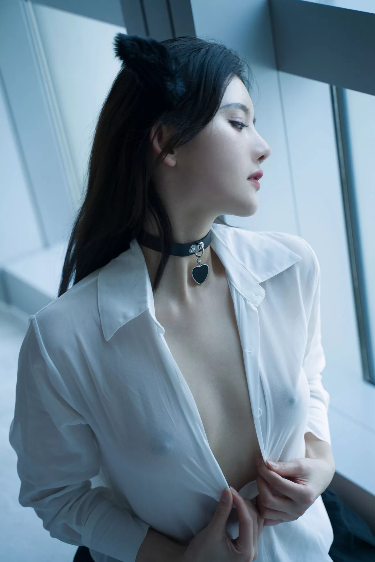 优质摄影图集 就是阿朱啊《猫》