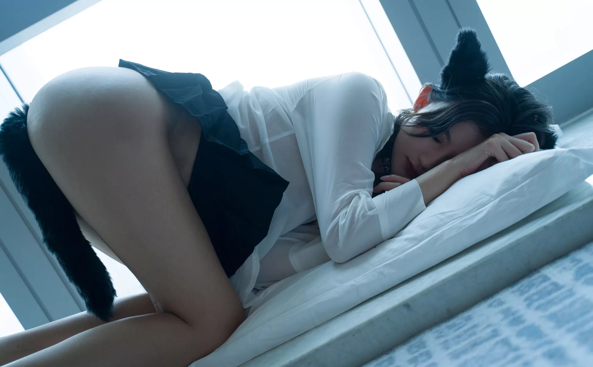 优质摄影图集 就是阿朱啊《猫》