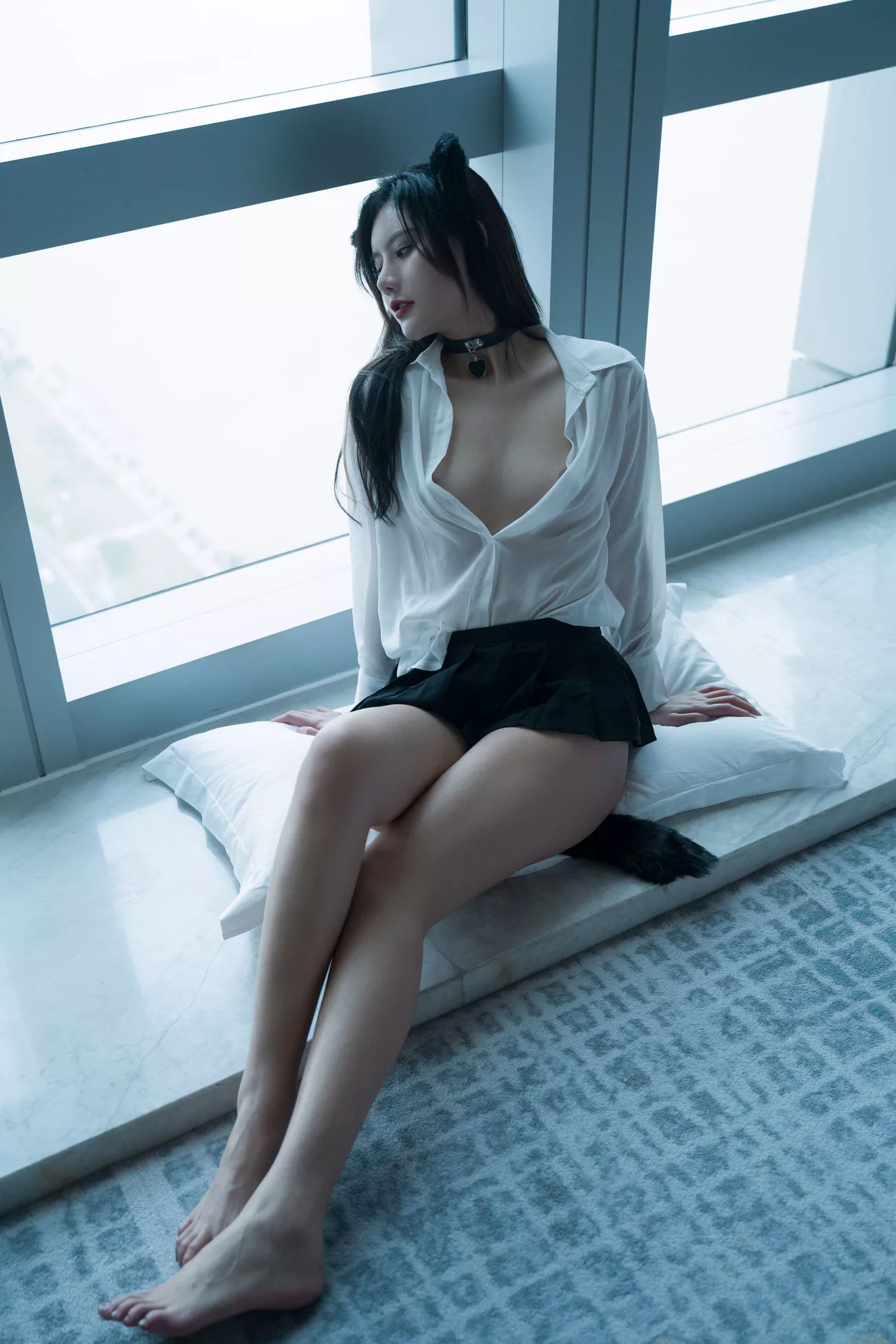 优质摄影图集 就是阿朱啊《猫》