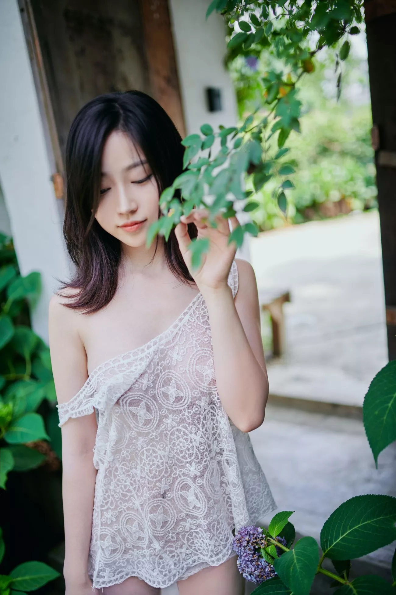 《夏日精灵》 高精细艺术图图集 年年
