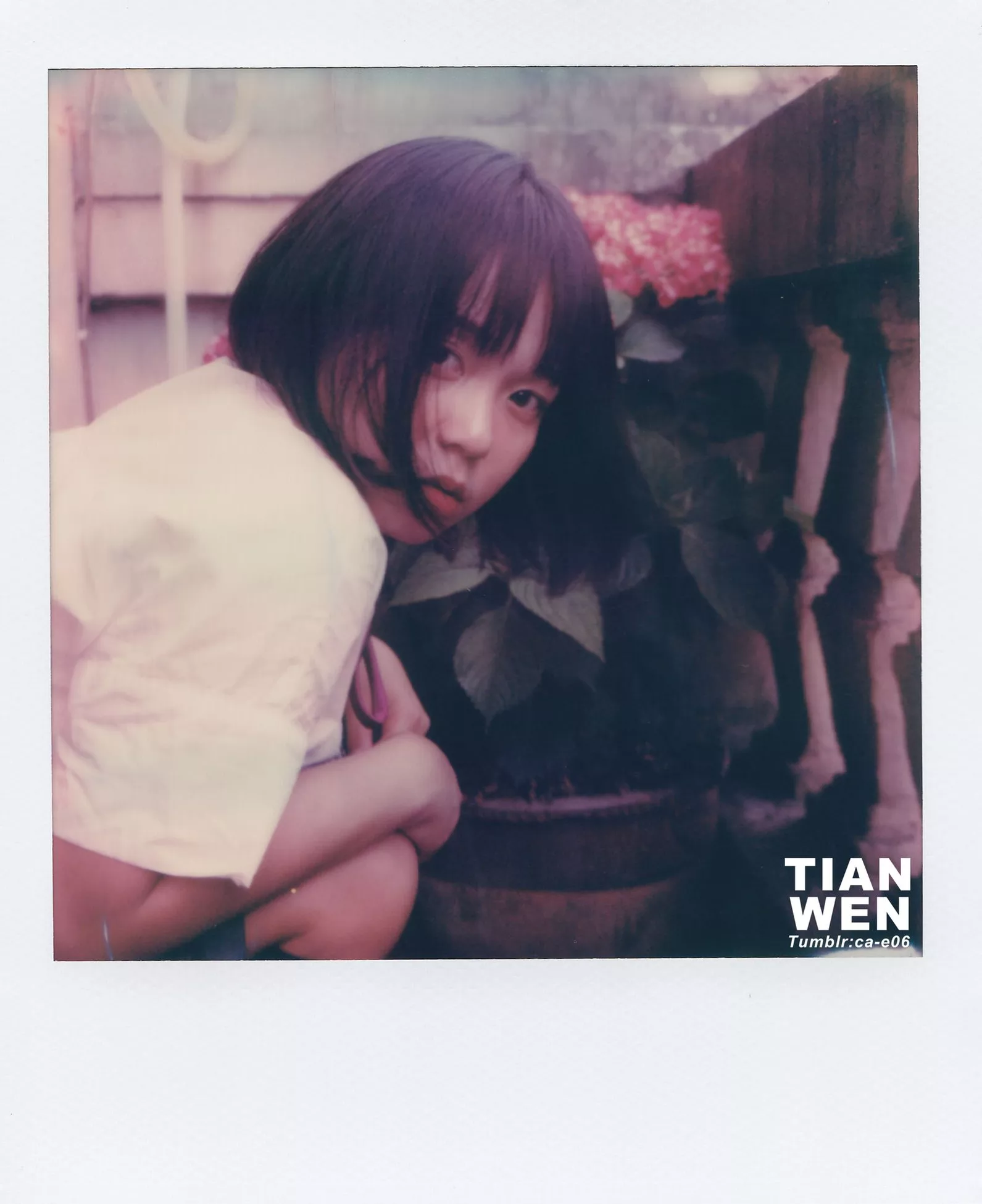 国模 创作集 TIANWEN（�Y岛） 人体 No.201812 写真师