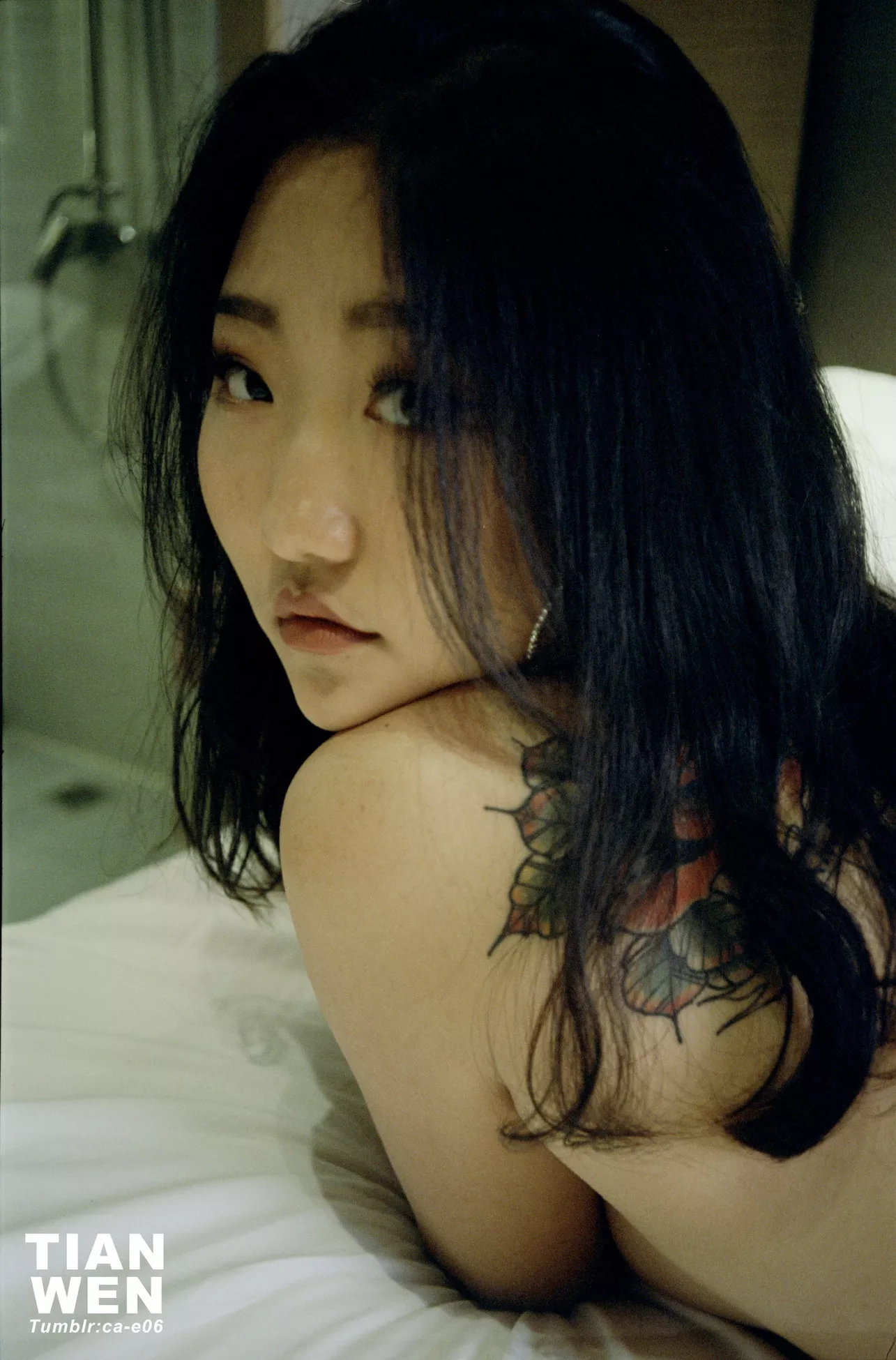 国模 创作集 TIANWEN（�Y岛） 人体 No.201812 写真师