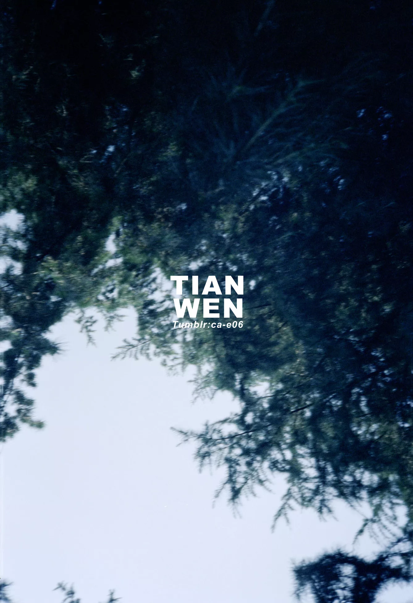国模 创作集 TIANWEN（�Y岛） 人体 No.201812 写真师