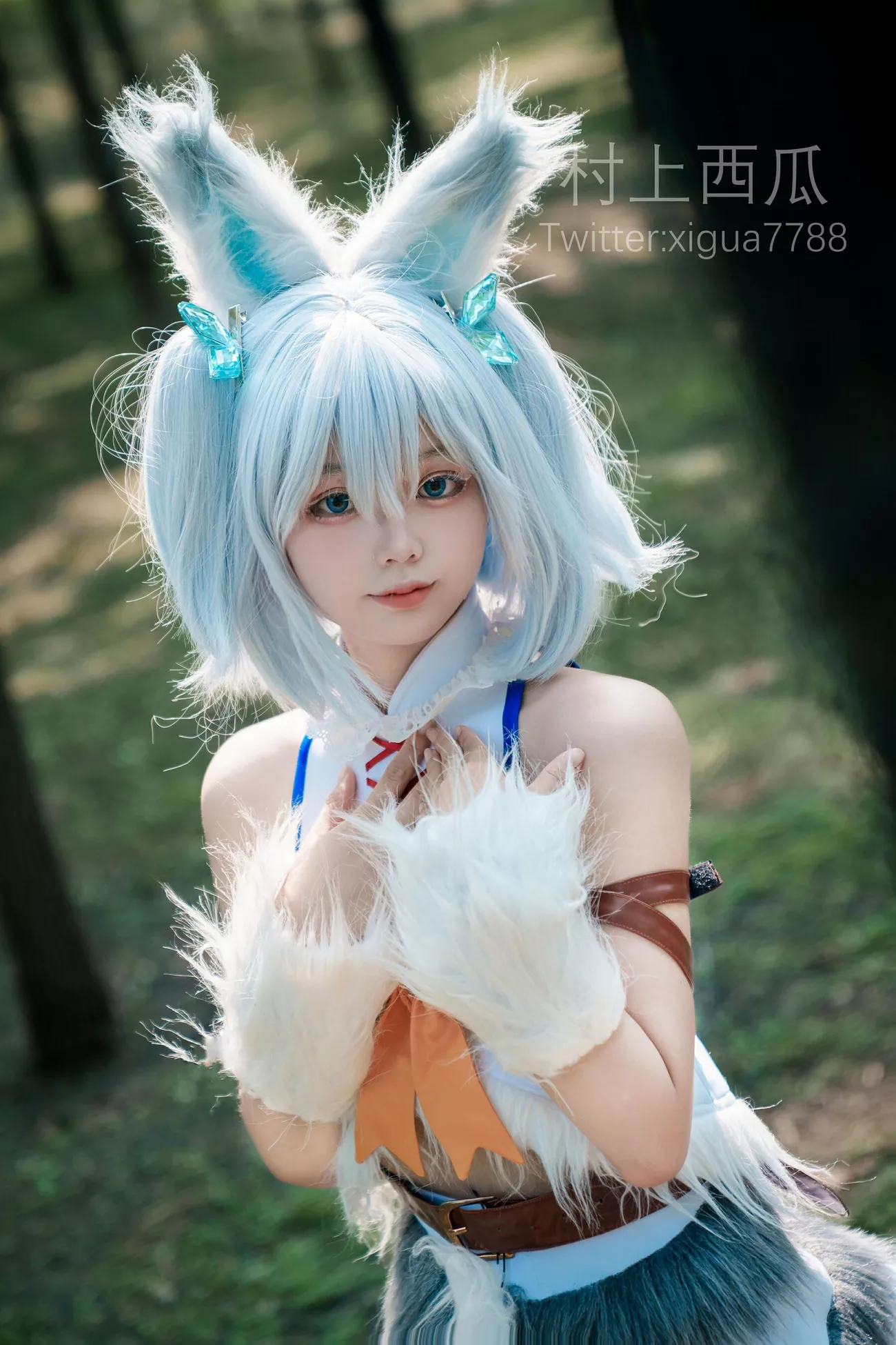 高画质影像美图 村上西瓜 《树林》