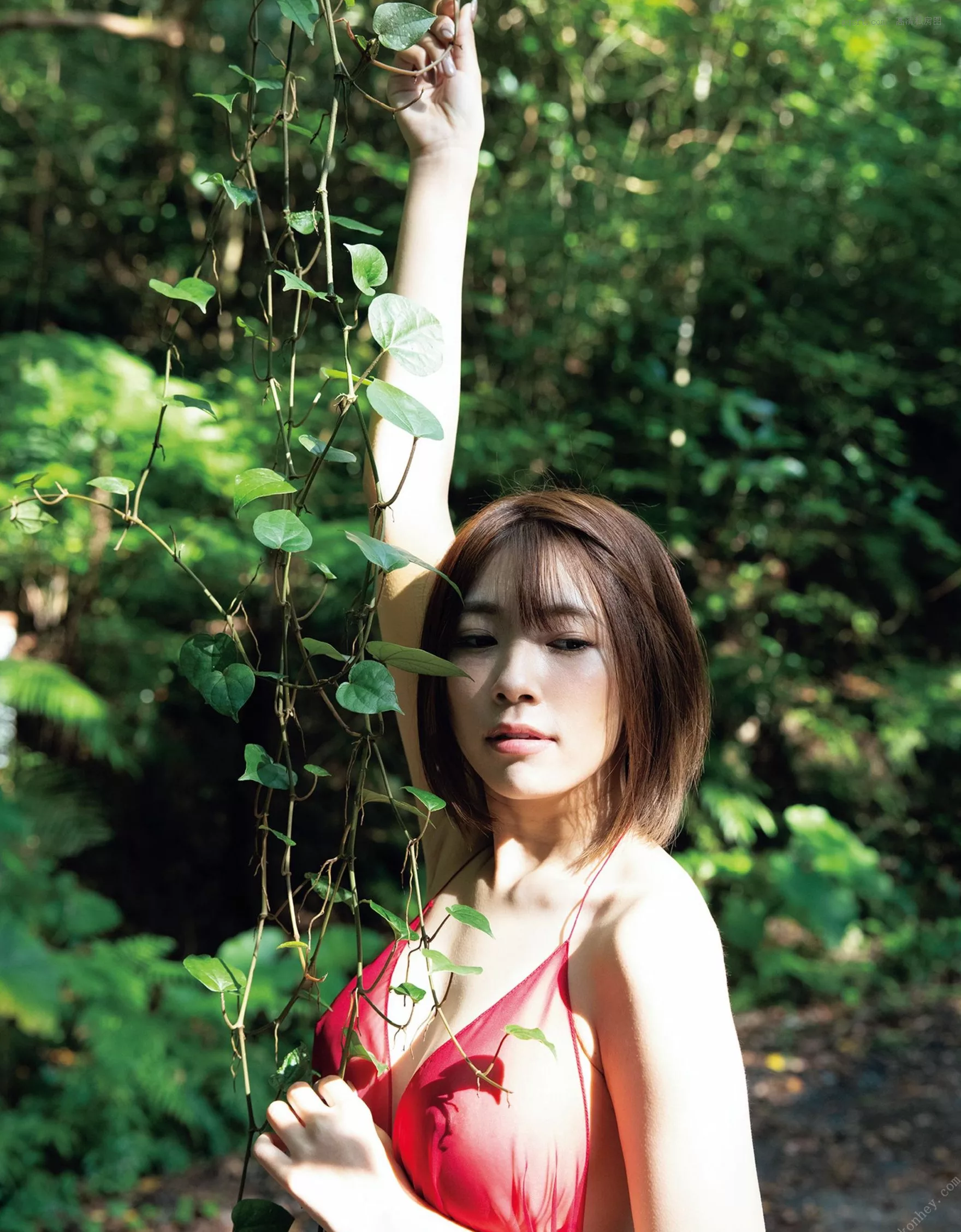 翼舞《舞》 美人 超清摄影艺术图 日本