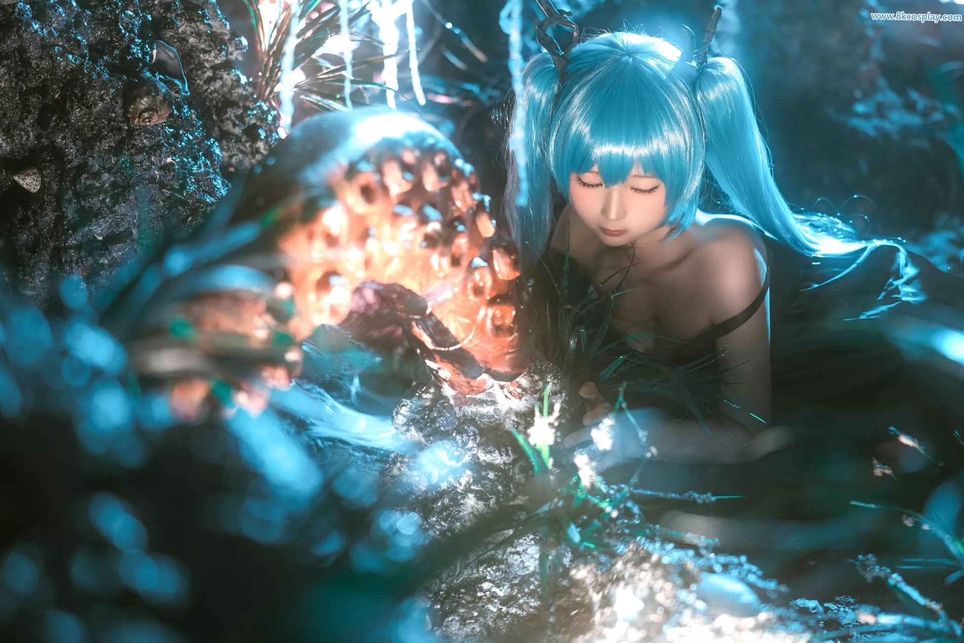 高清摄影美图 《初音・深海同学》 蠢沫沫