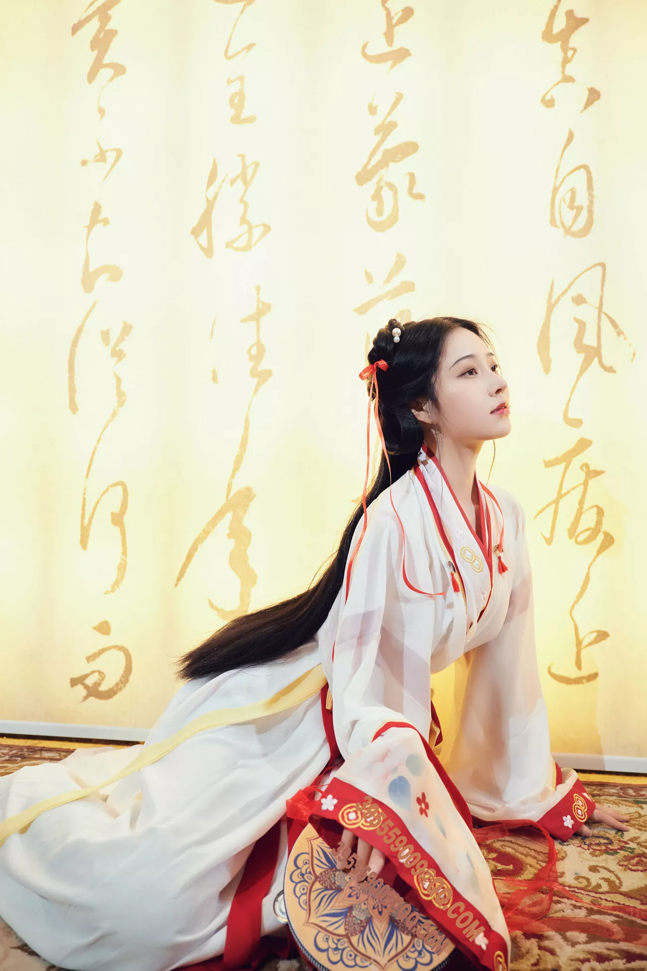 年年 优质图相组图 《如梦令》