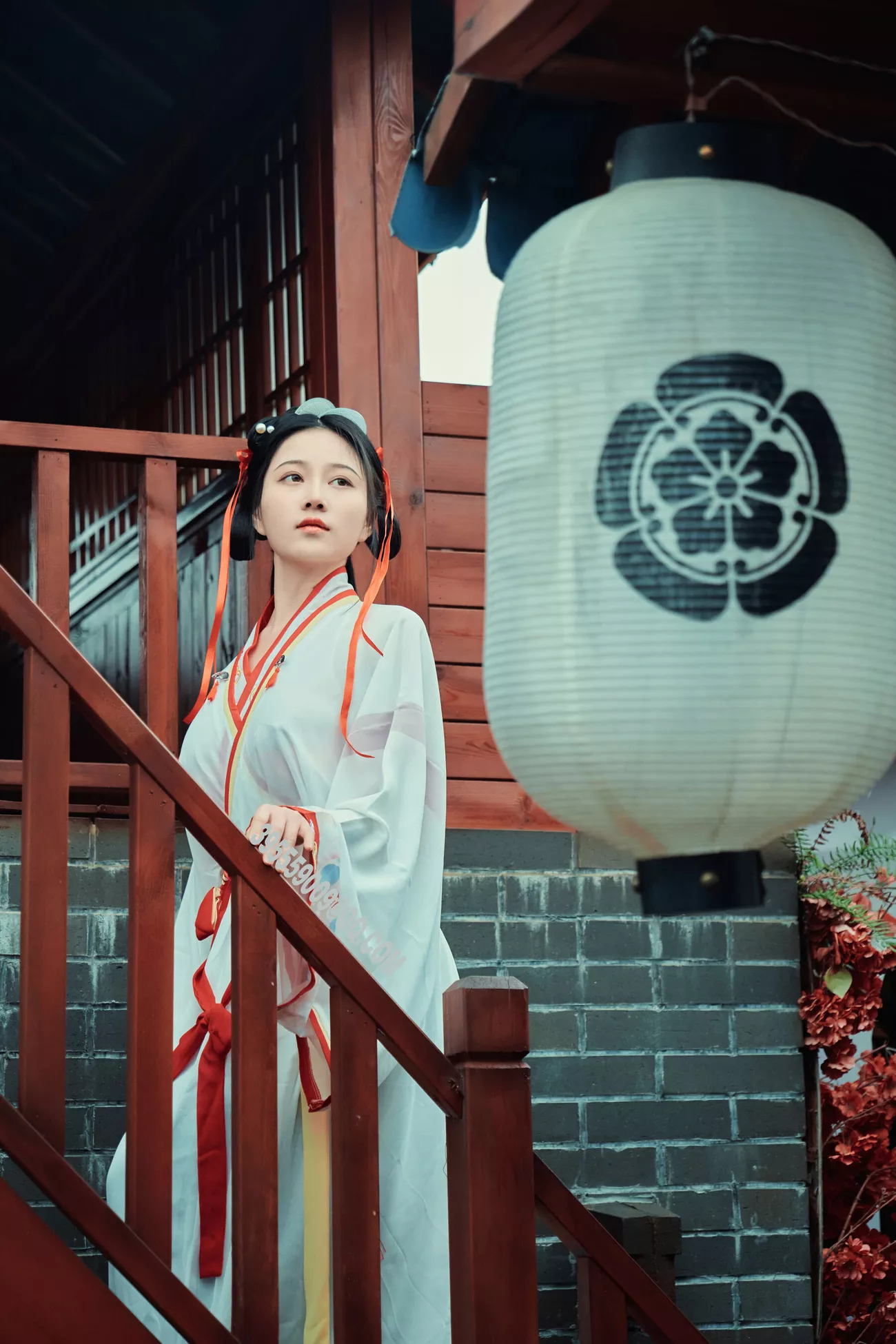年年 优质图相组图 《如梦令》