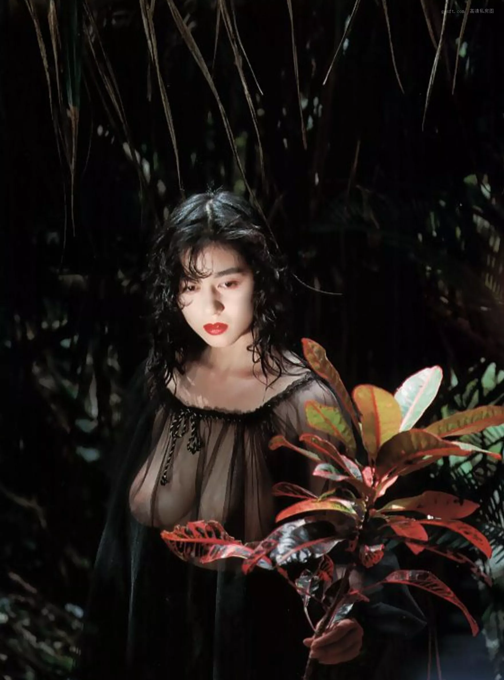 精选 日本 1990.5 青山知可子《热�⌒云�候》 优质艺术写真 尤物