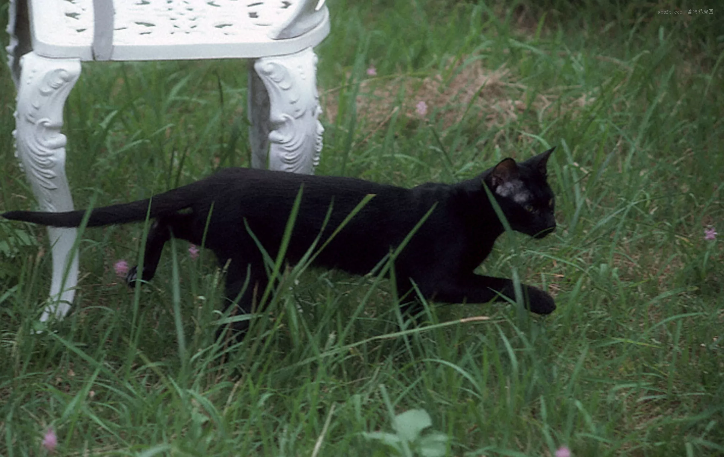 精选 日本 �靠诳赡献印蹲��gな时间》 仙女 高精细写真艺术 1986.10