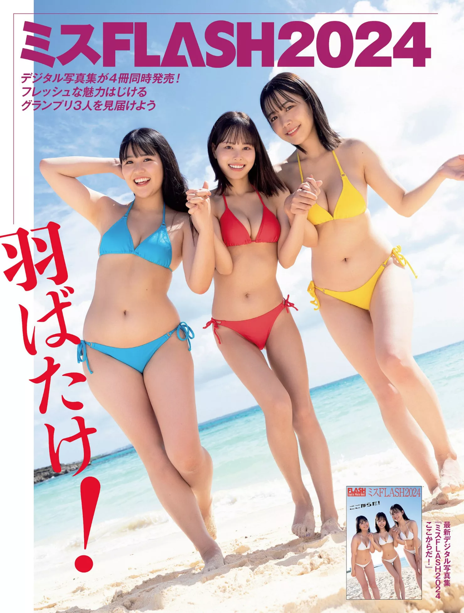 ) Endo Mame 远藤まめFLASH 贵宾巨图  日本模特高画质艺术摄影 (