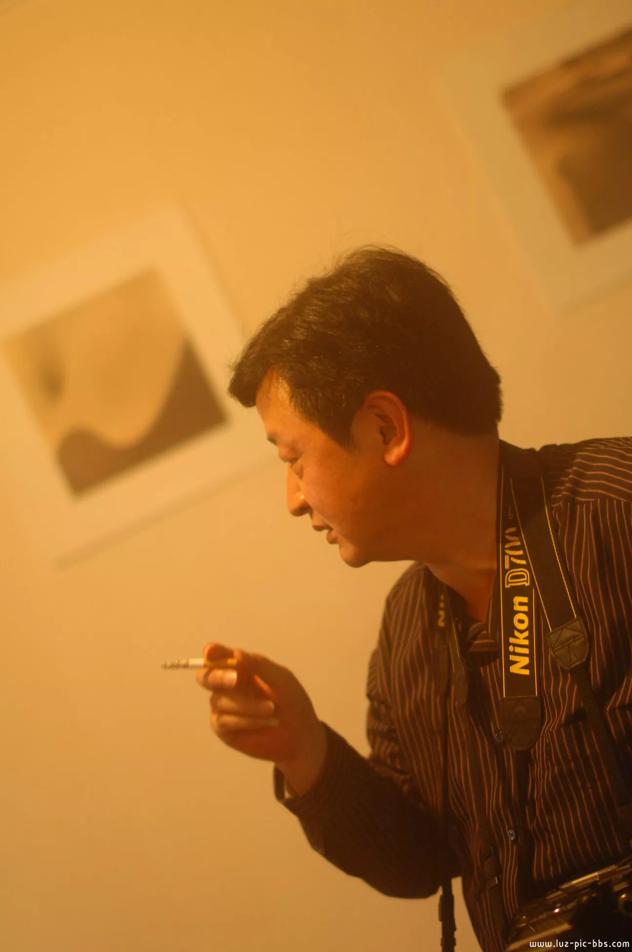 大尺寸 人体 国模 密拍 美图 羊羊 人体 国模