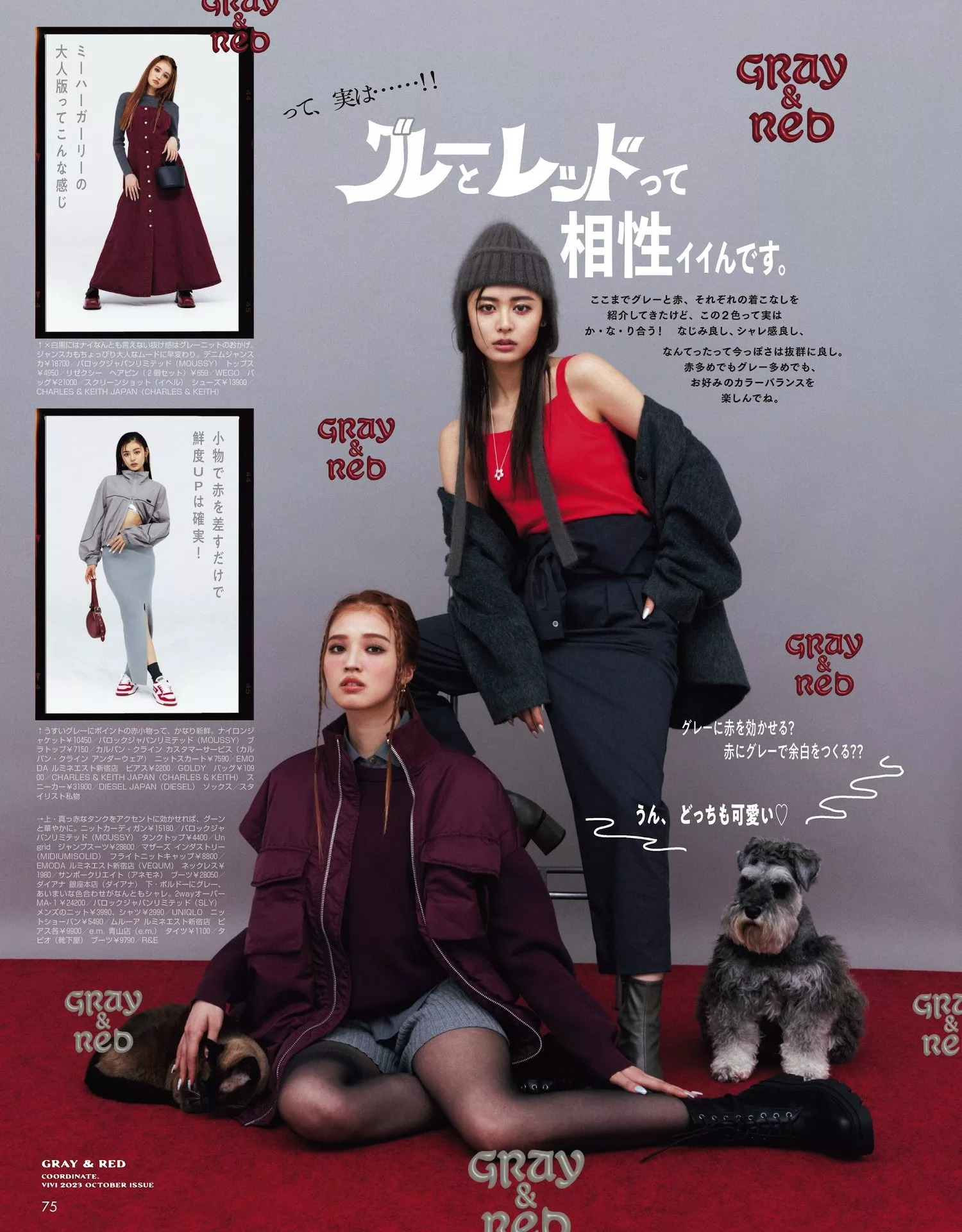 Magazine 2023.10 せいらViVi 古�x星夏