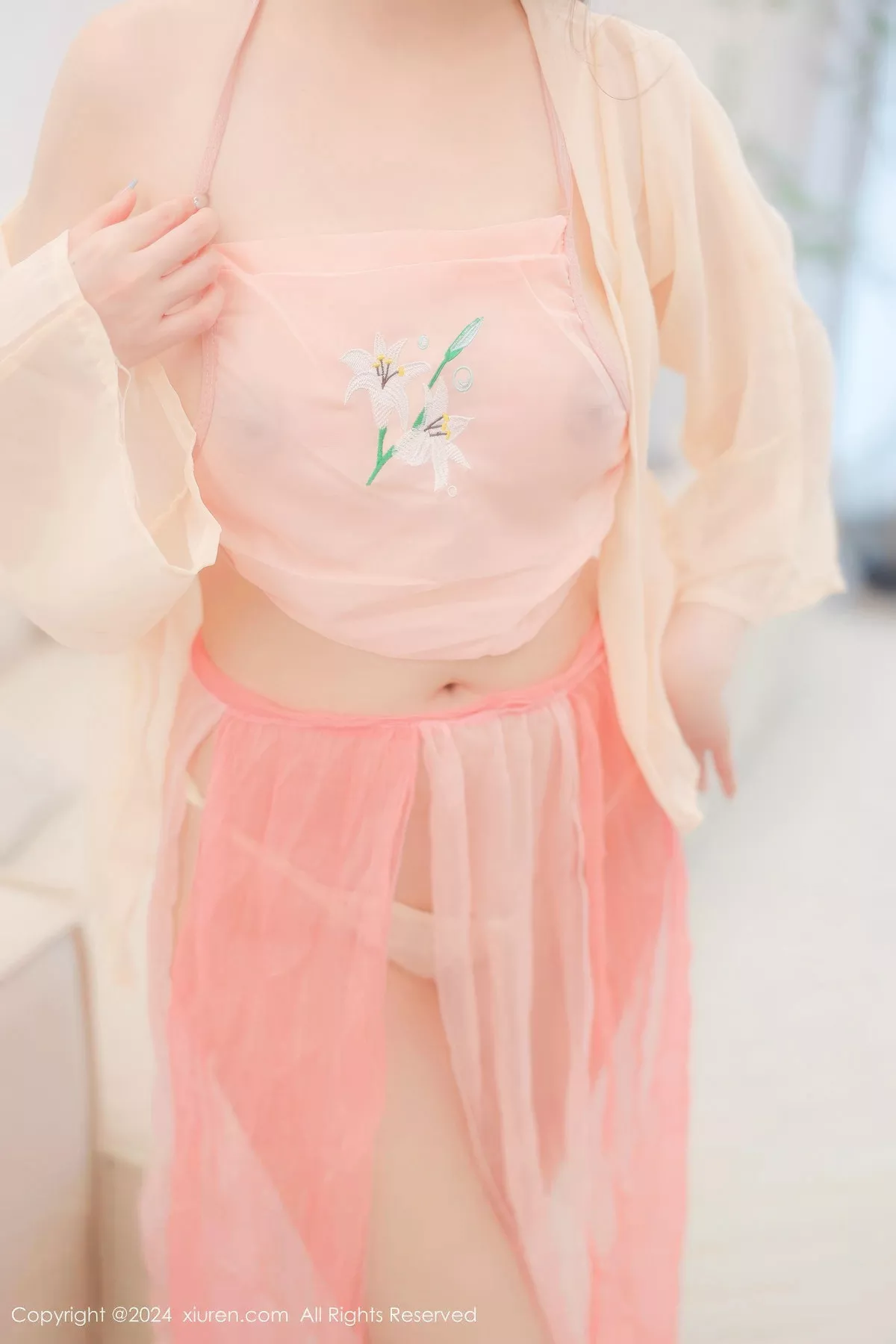 粉色 网XiuRen】 酱 【XIUREN秀人 性感 No.8906 古装薄纱服饰 惹火私房诱人重组 艳模 软软 私房 秀婀娜身形