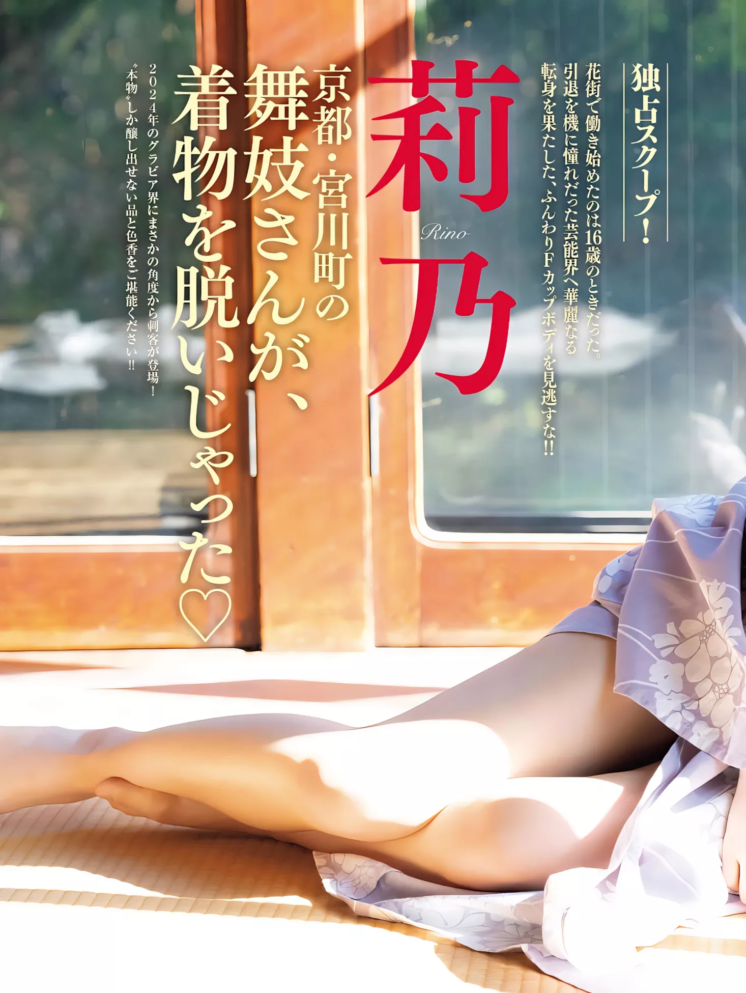 ) FRIDAY ( 莉乃 贵宾大幅 摄影 美人 RINO 日本