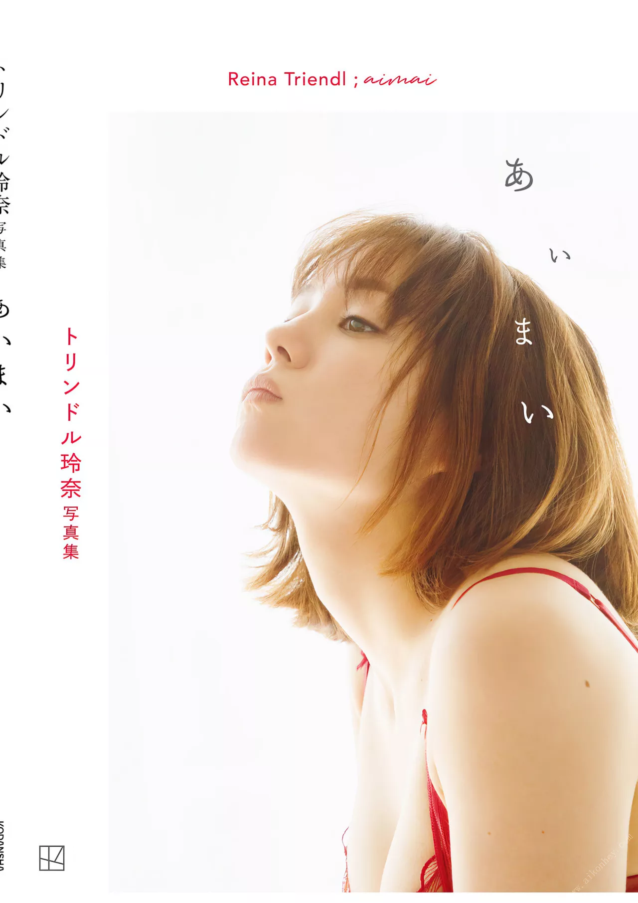 Triendl Reina 全集修正 玲奈写真集 【あいまい】