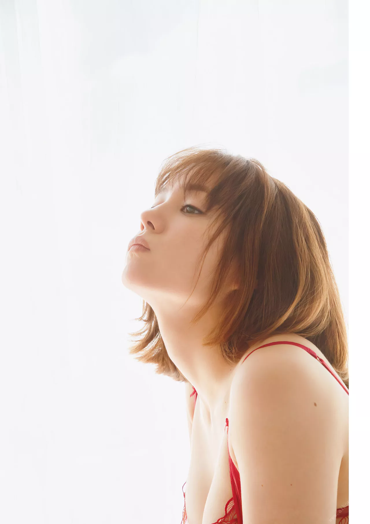 Triendl Reina 全集修正 玲奈写真集 【あいまい】