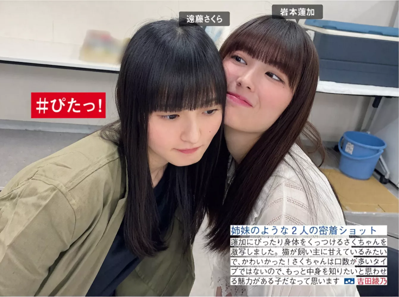 FRIDAY 摄影 乃木坂46 ( 美人 Nogizaka46 日本 全集修正