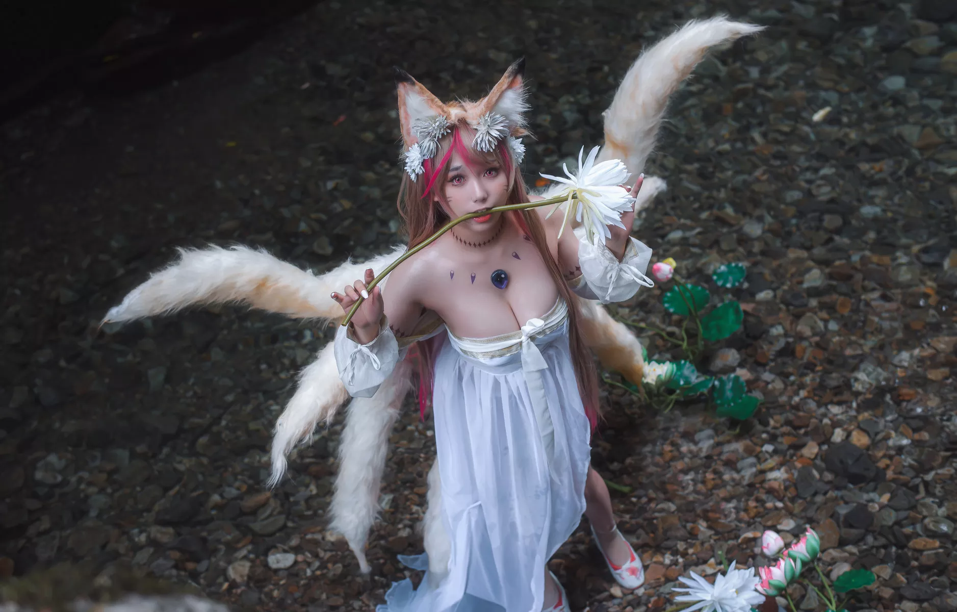 天命之子 玉藻前 美人 Cosplay 一北亦北
