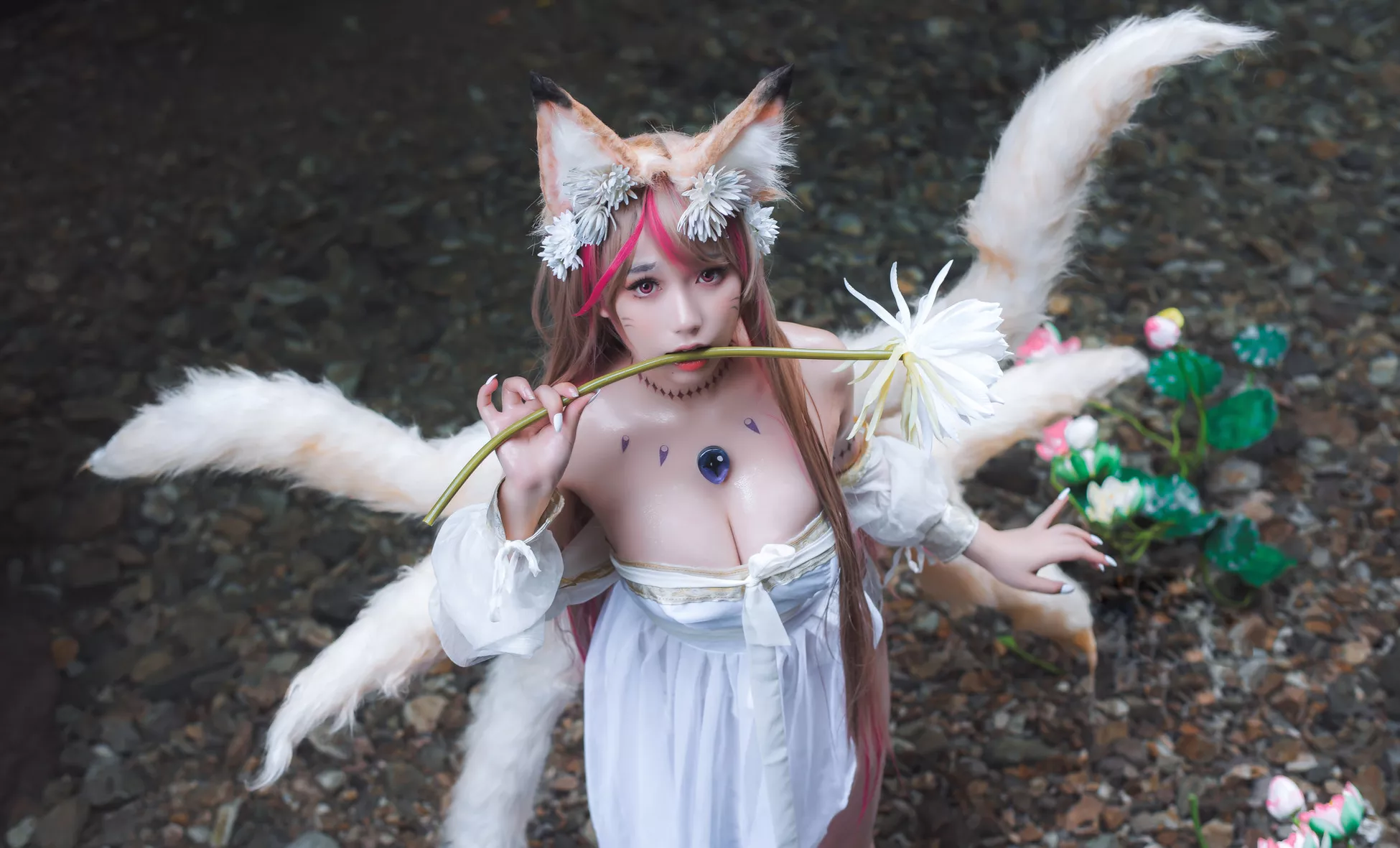 天命之子 玉藻前 美人 Cosplay 一北亦北