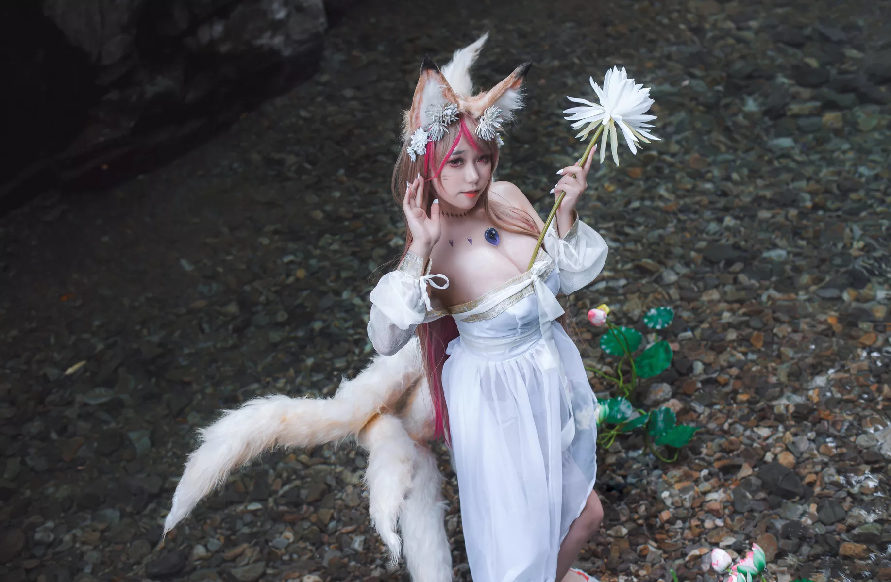 天命之子 玉藻前 美人 Cosplay 一北亦北