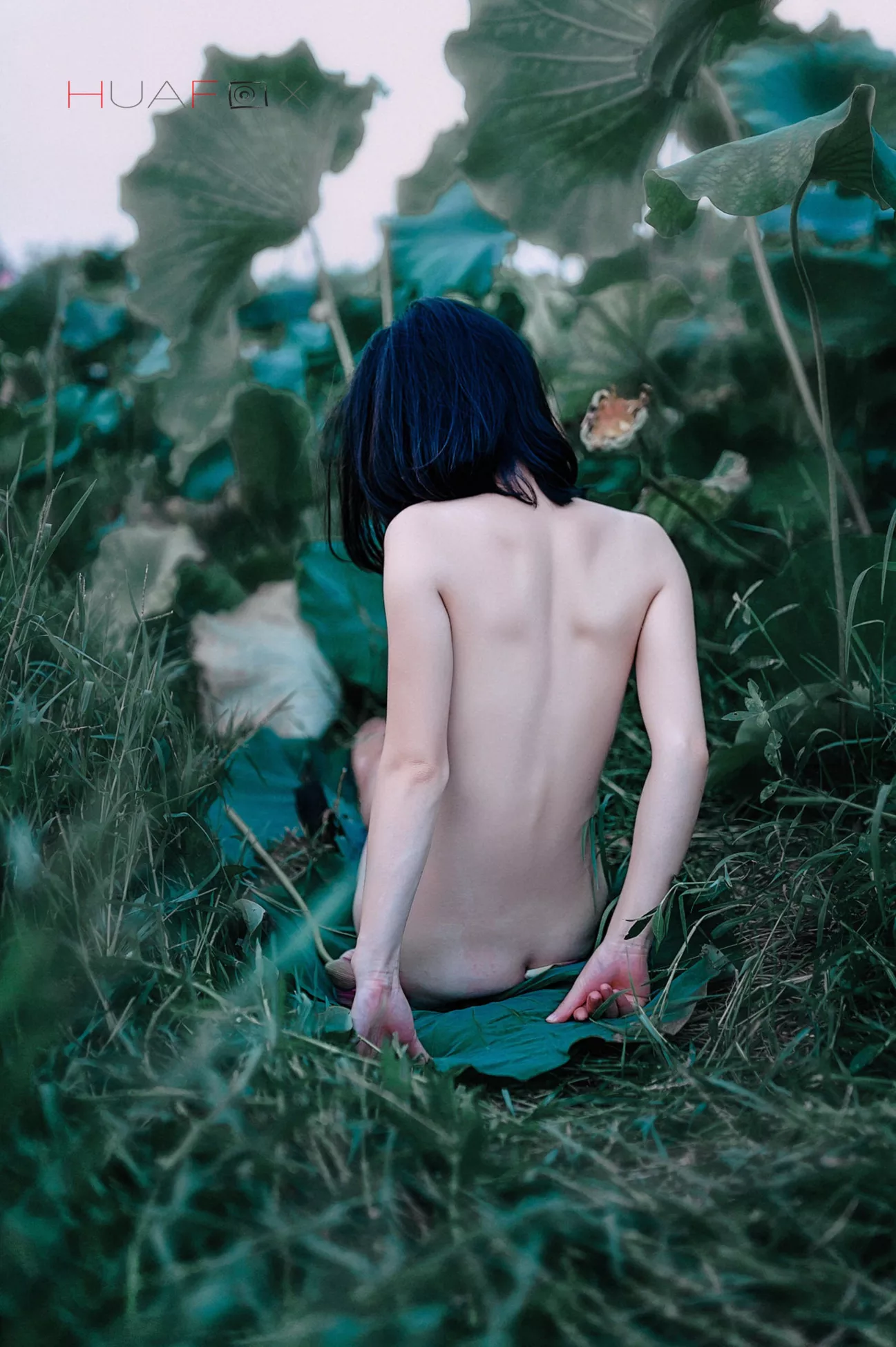 人体 集 国模 写真师 作品 HUAFOX