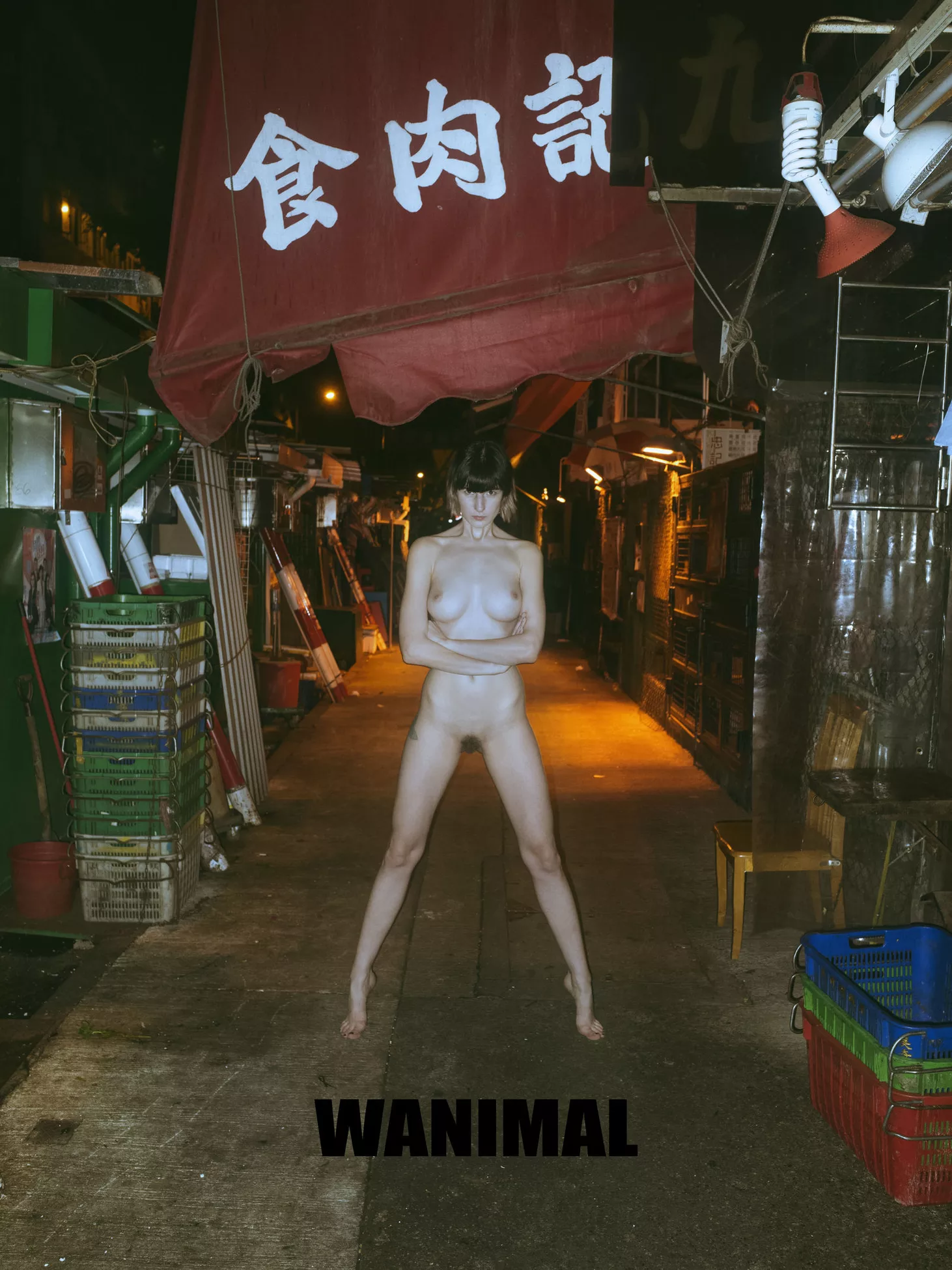 集（下） 作品 国模 2017年 人体