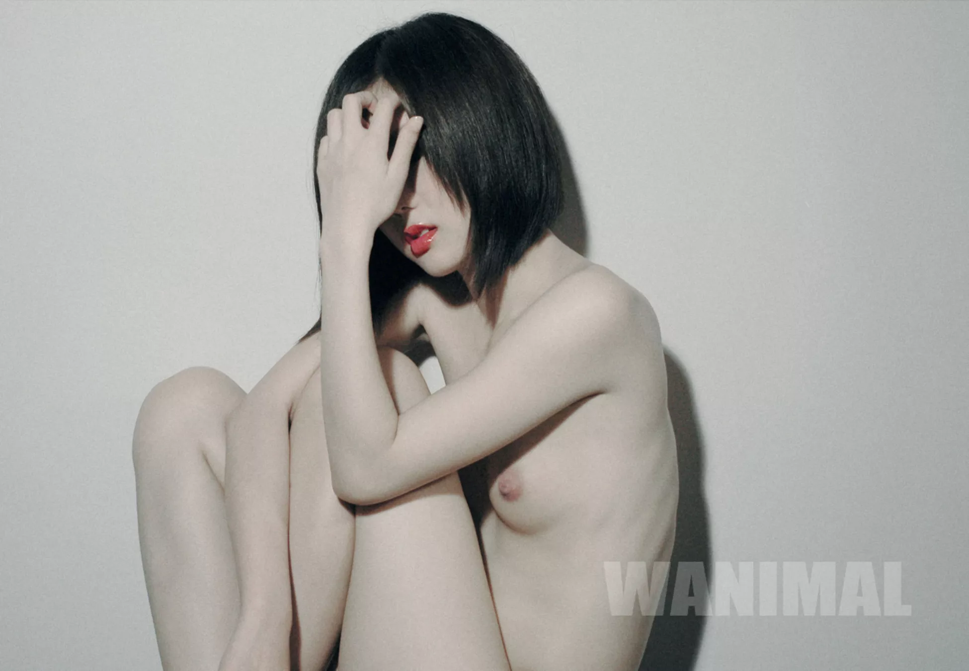 集 著品 2013年 人体 裸模