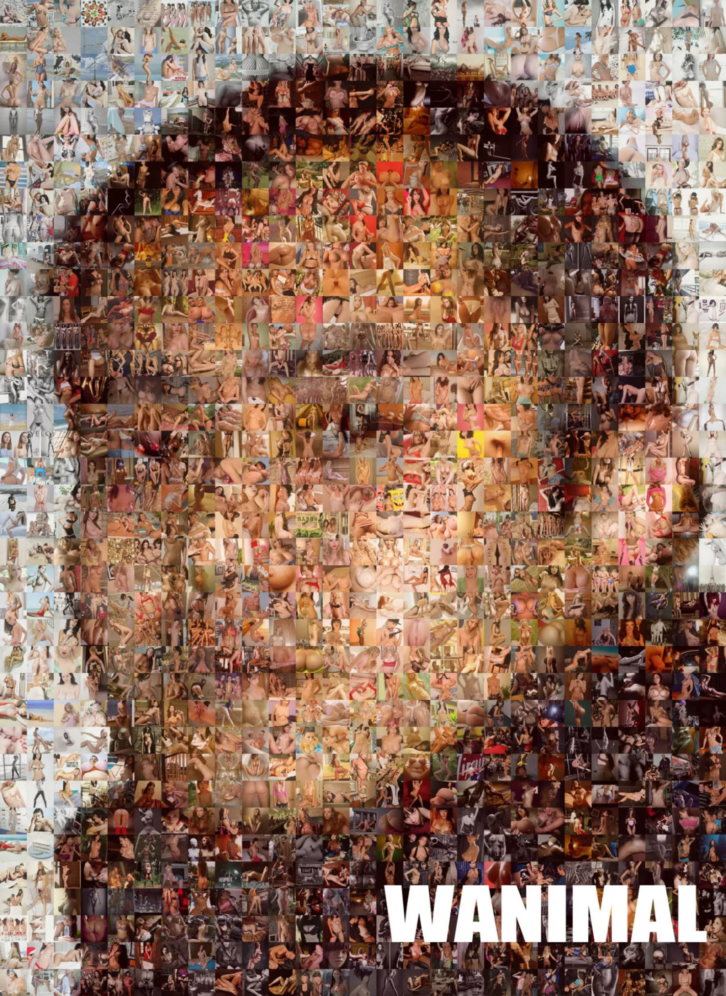 集 著品 2013年 人体 裸模